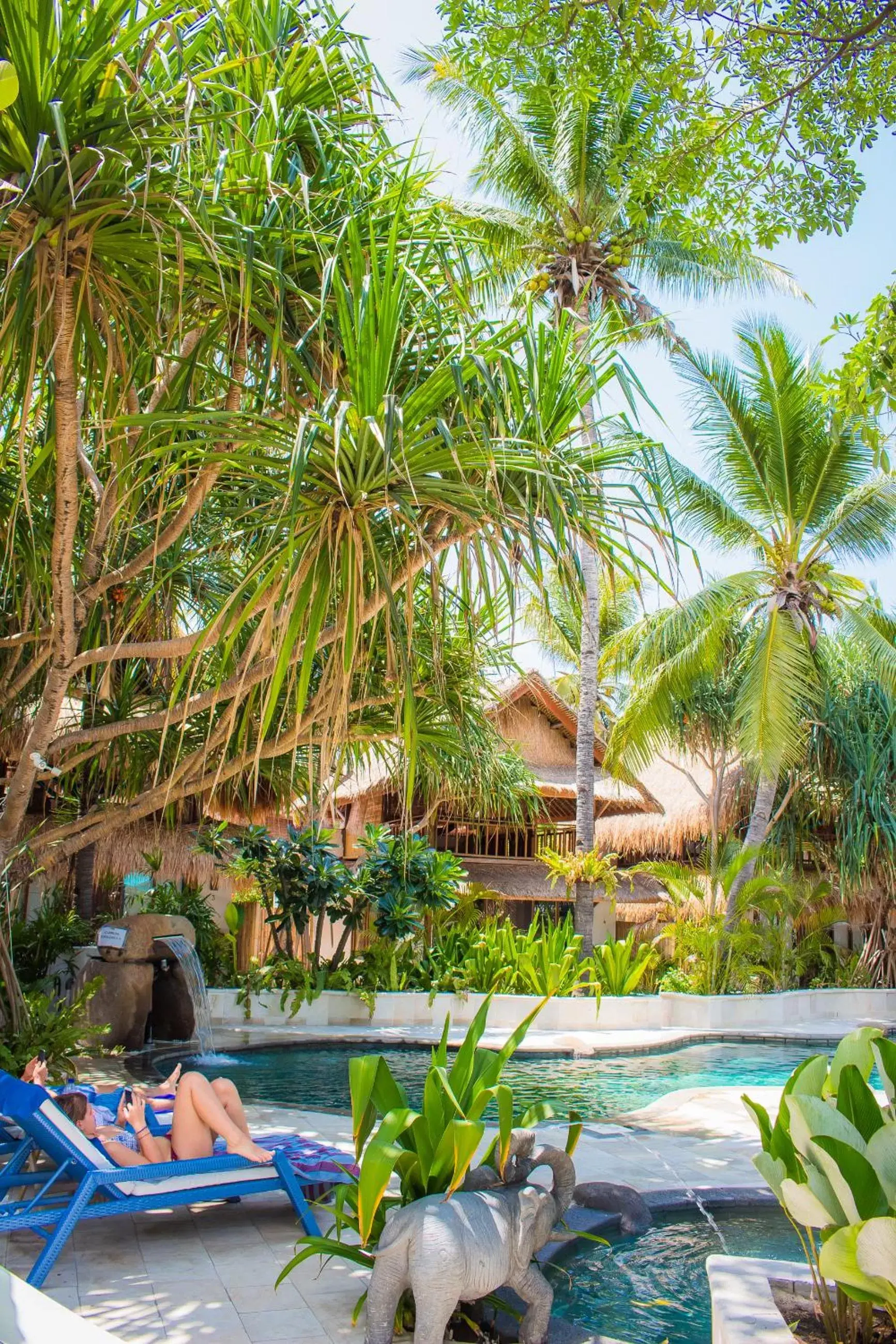 sunbed, Swimming Pool in Sunrise Resort