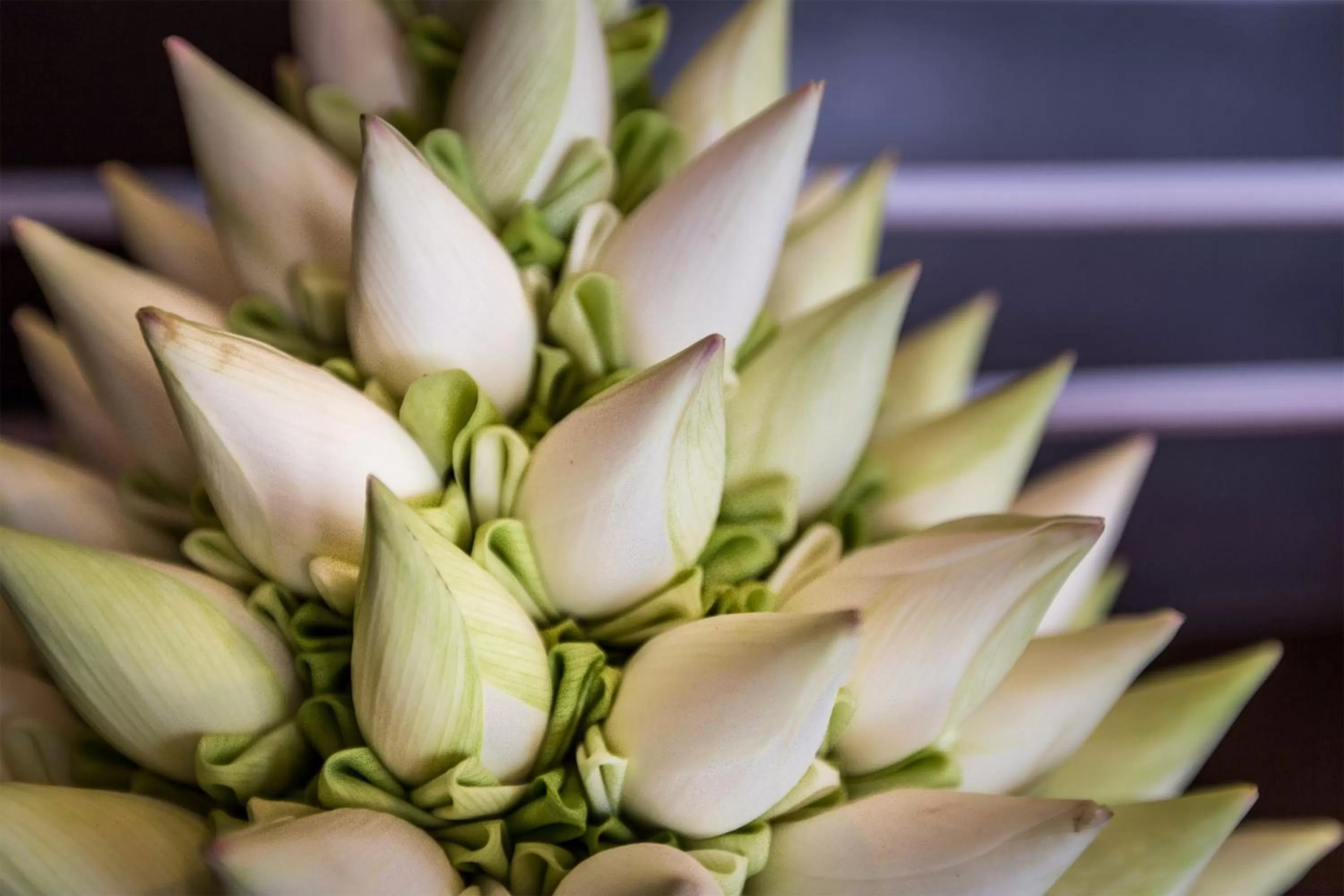 Other in De Sarann Villa