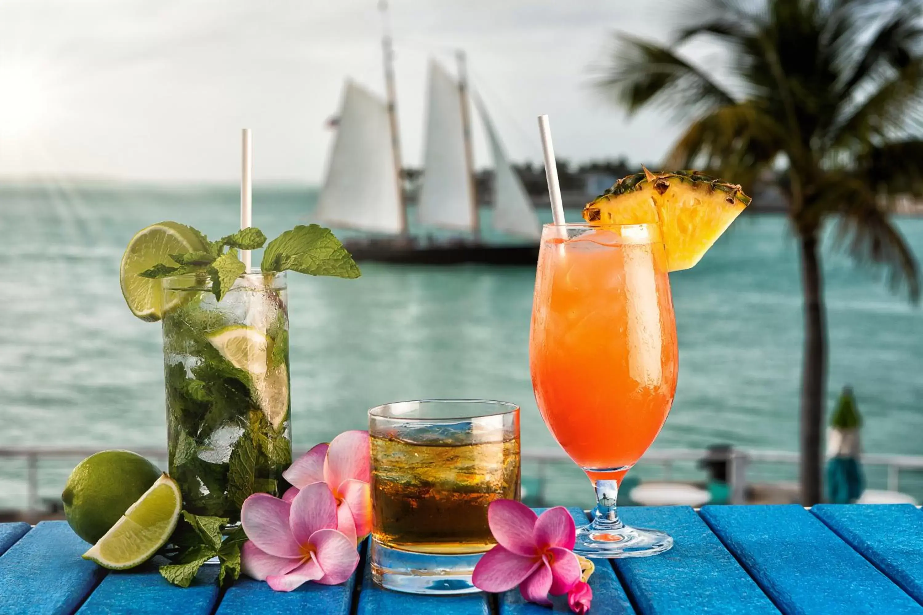 Alcoholic drinks in Opal Key Resort & Marina