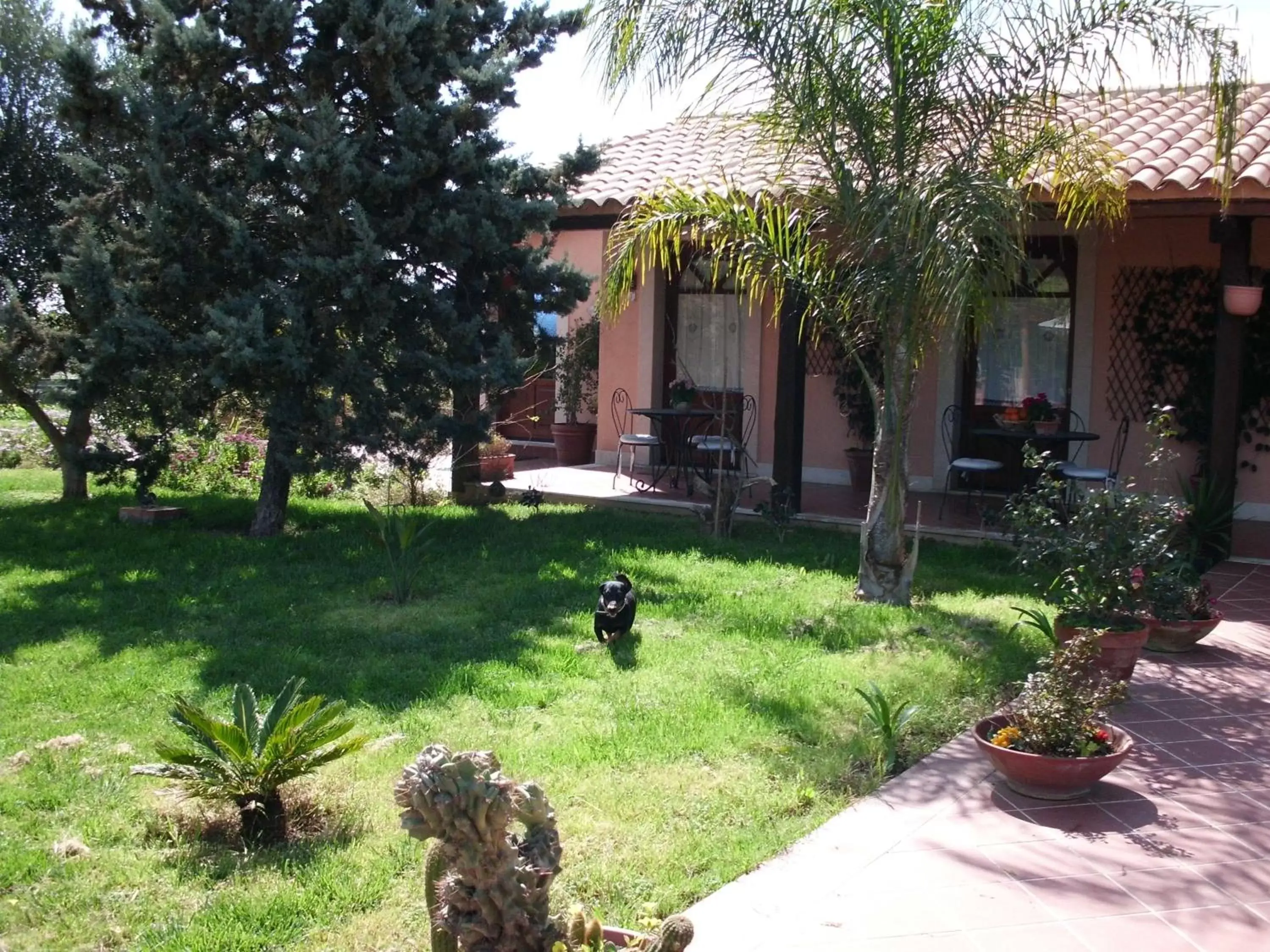 Patio, Garden in Villa Cristina