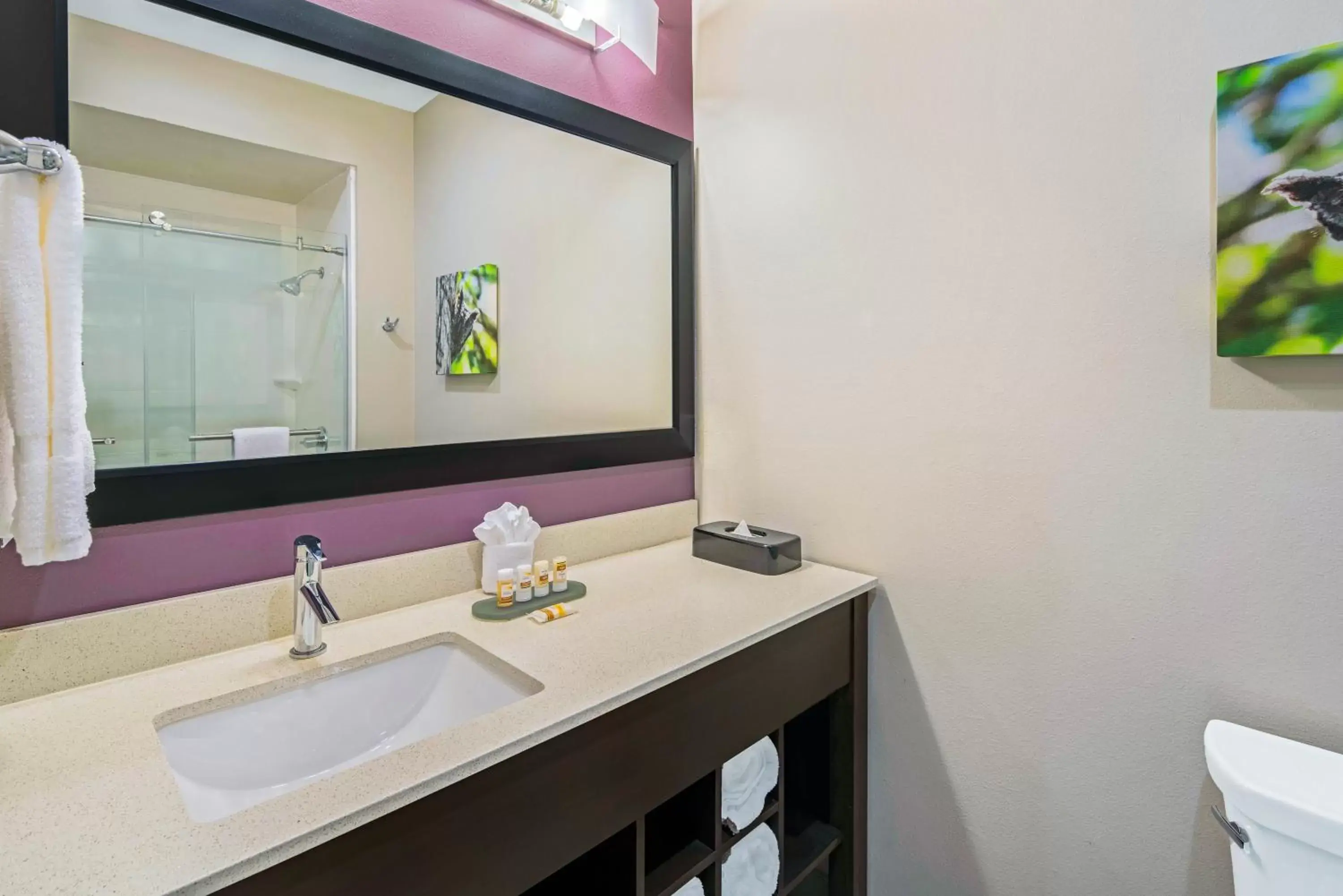 Shower, Bathroom in La Quinta by Wyndham McAllen La Plaza Mall