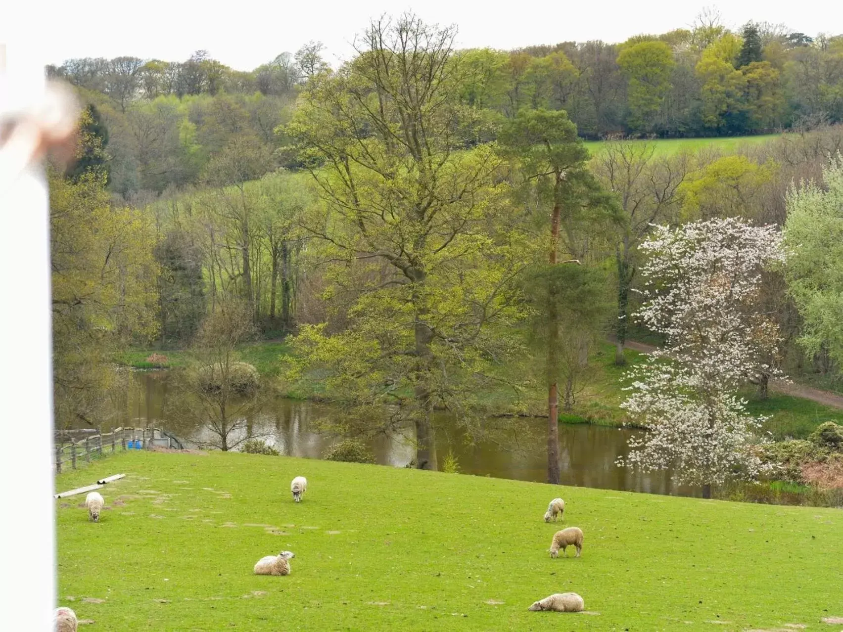 View (from property/room) in Twyford Farm B&B