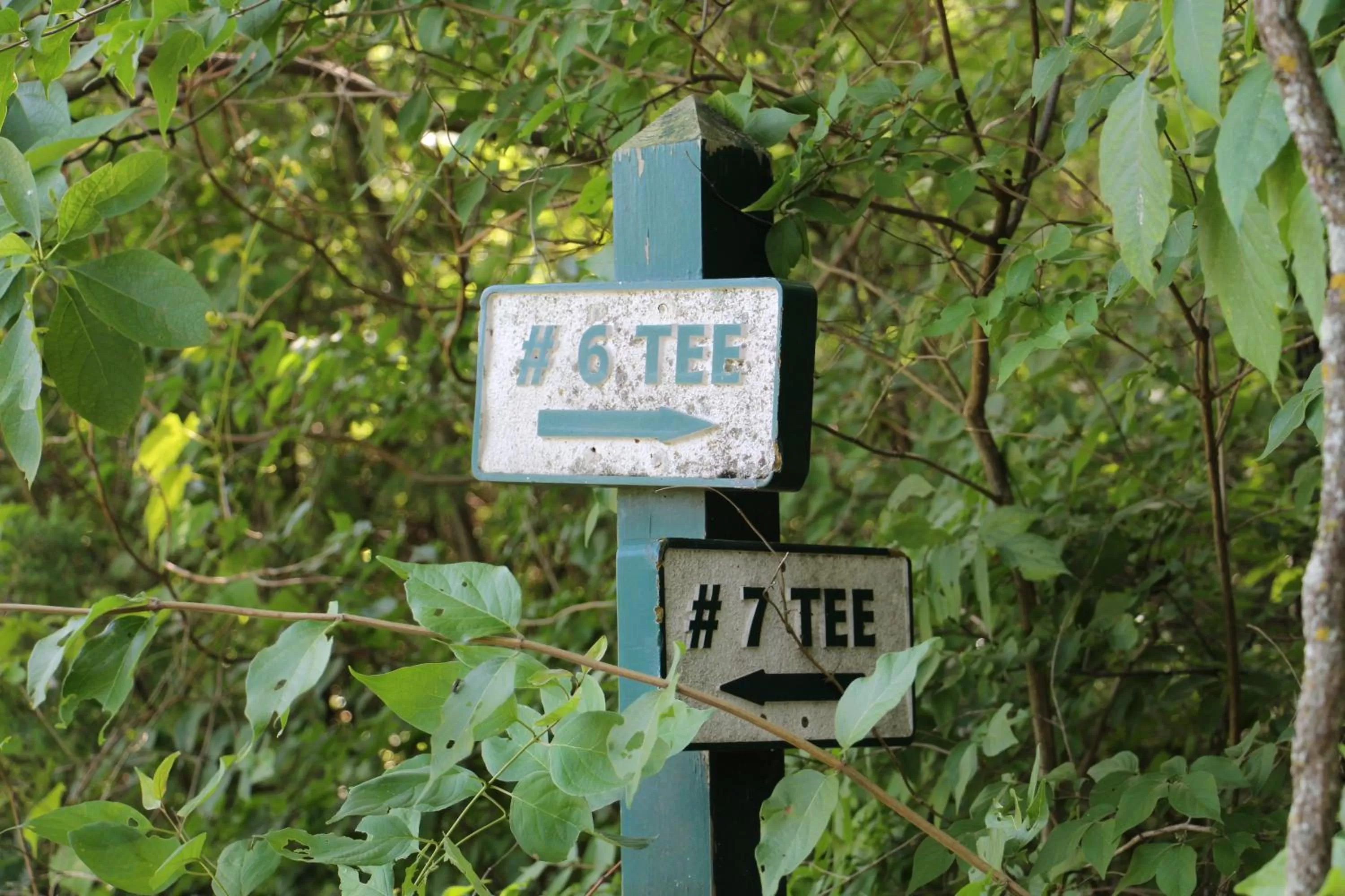 Golfcourse in Cedar Creek