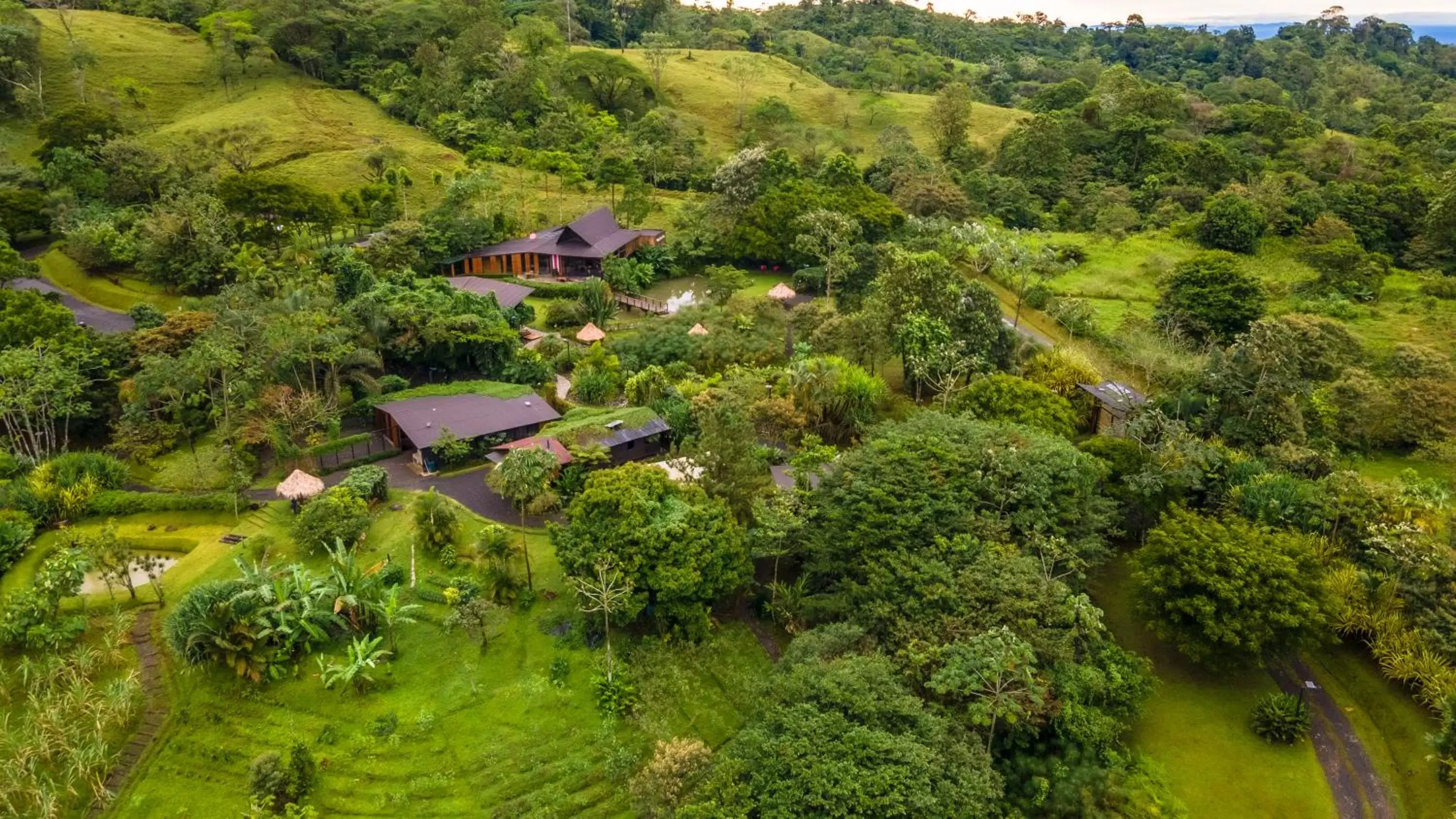 Patio, Bird's-eye View in Ecolirios Boutique Hotel and Spa