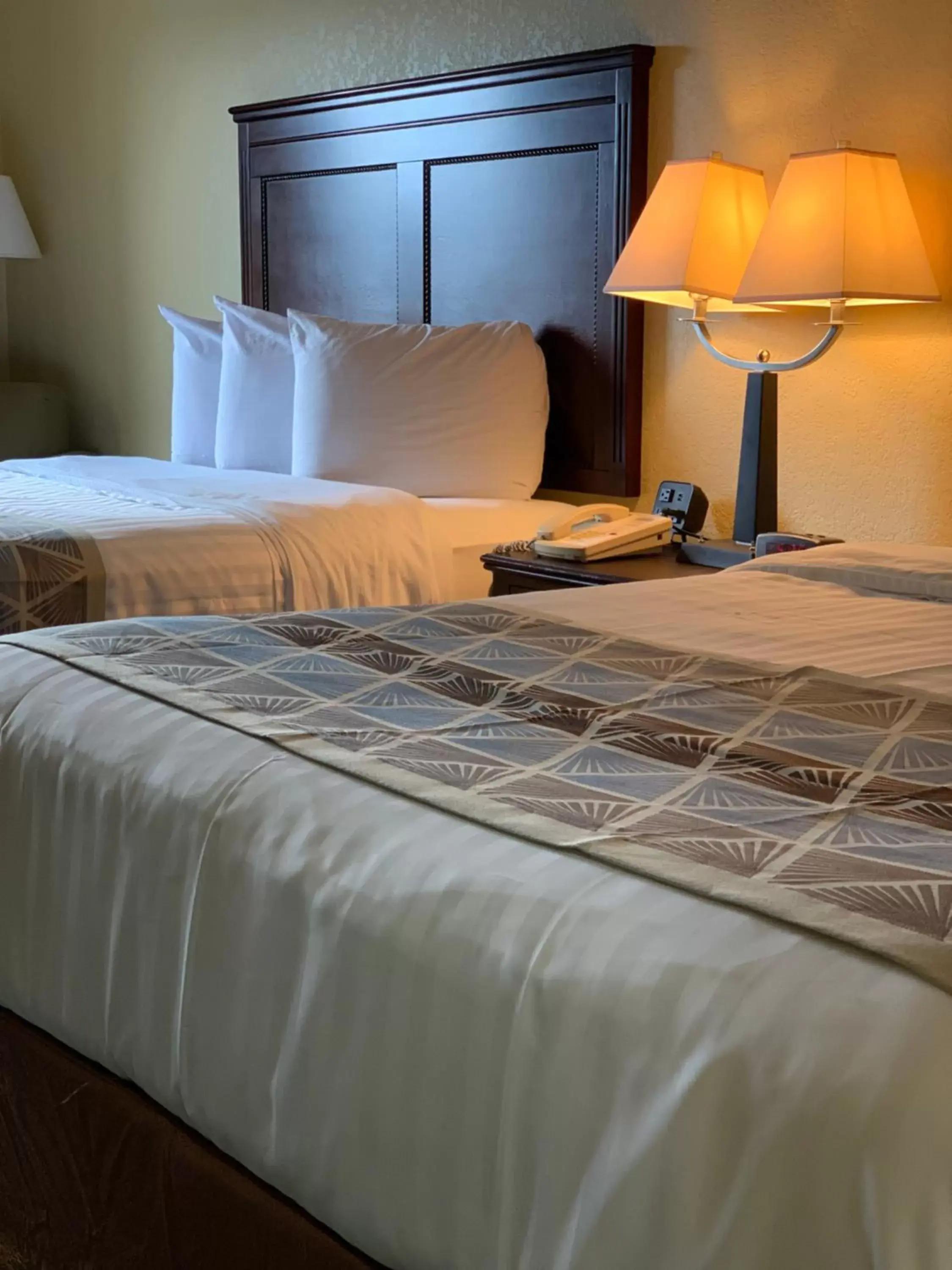 Bed in Ambassador Inn & Suites