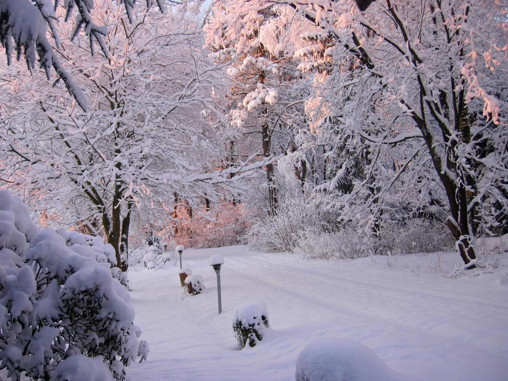 Natural landscape in Heddahgaarden