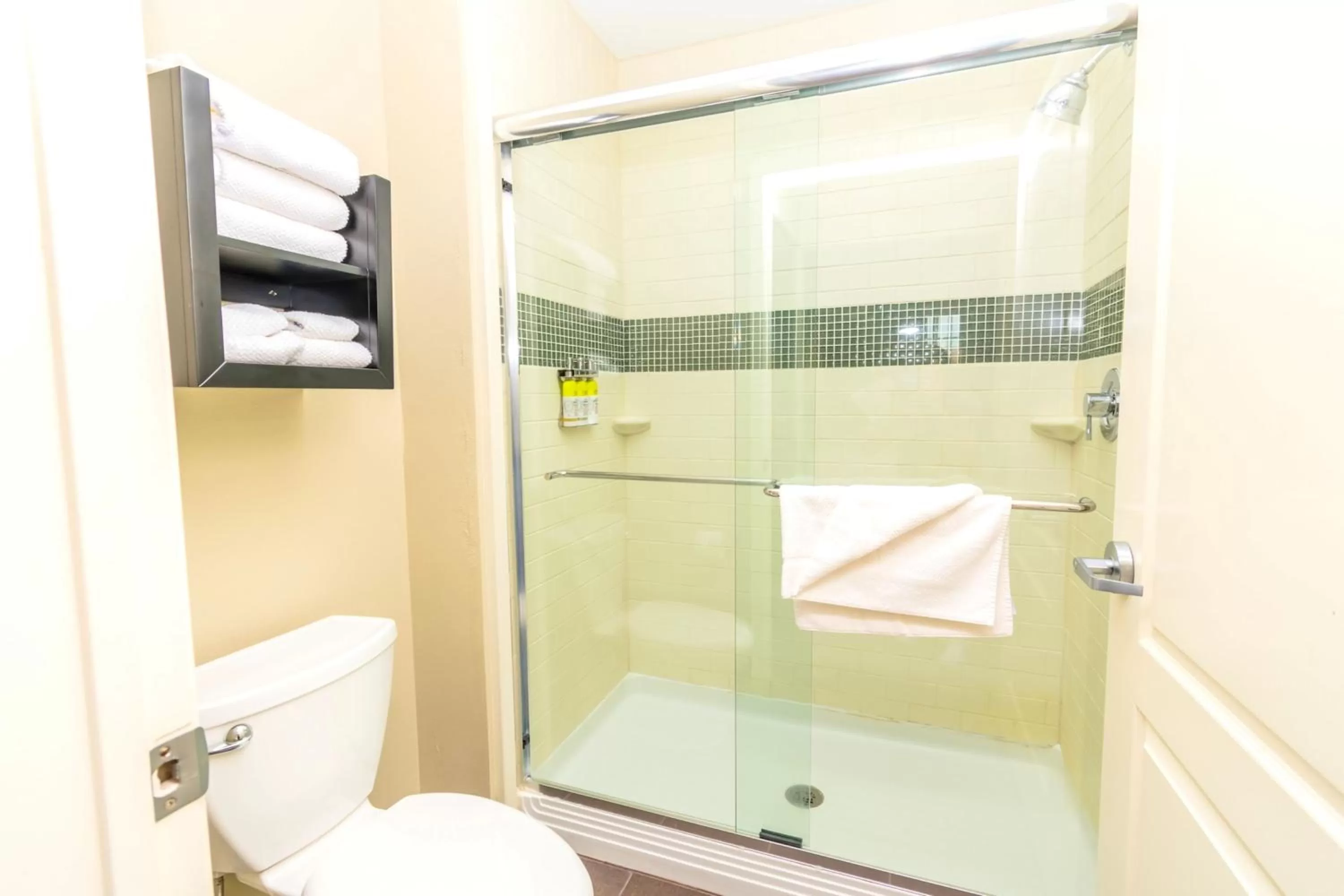 Queen Studio - Disability Access in Staybridge Suites Houston - IAH Airport, an IHG Hotel