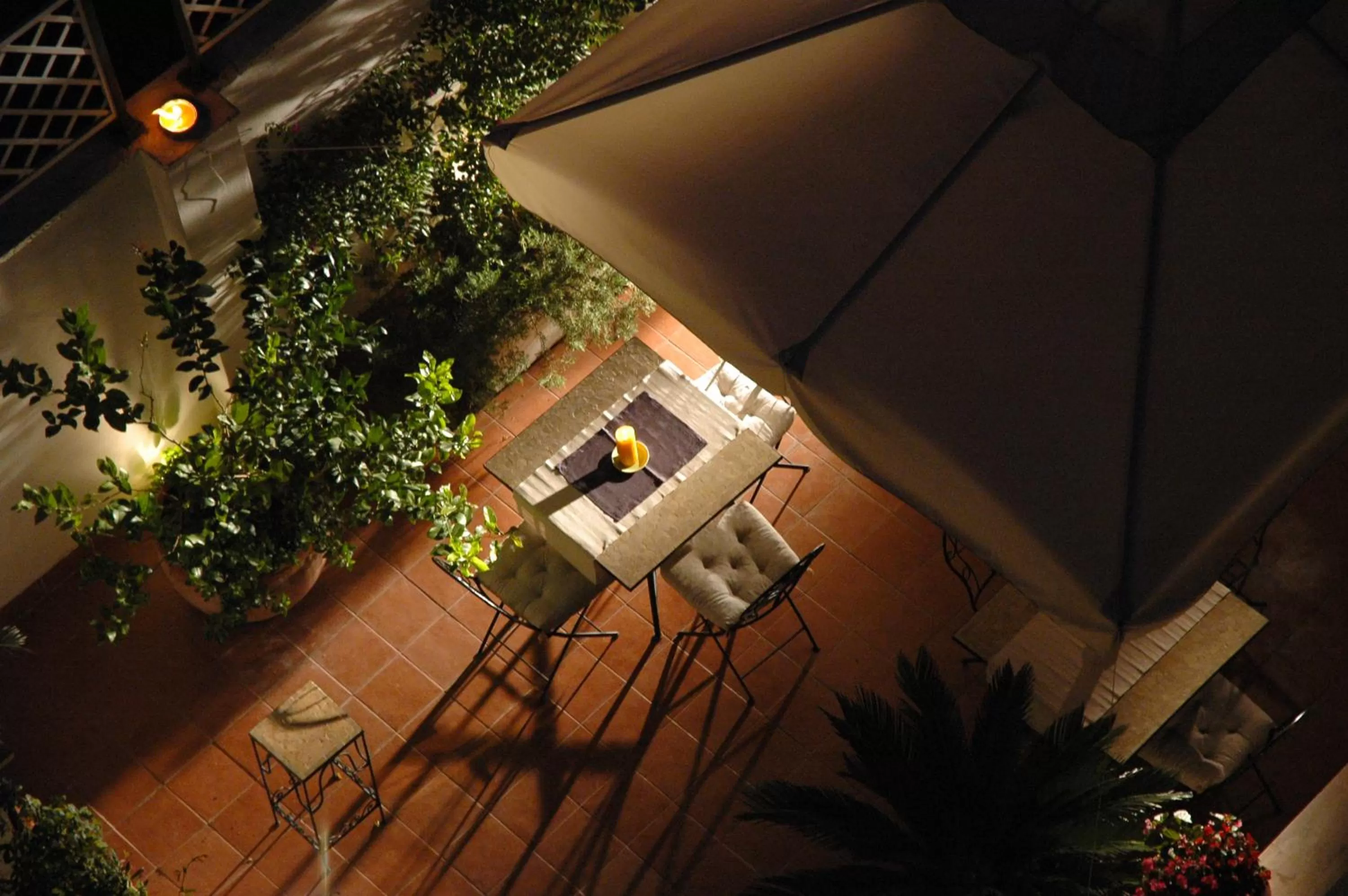 Garden in Alpi Hotel