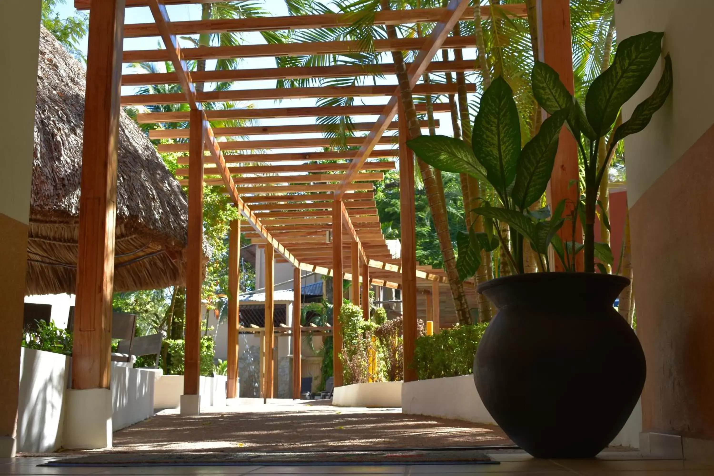 Patio in Hotel Maya Tulipanes Palenque