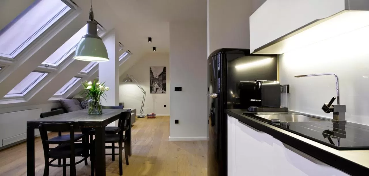Kitchen or kitchenette in Hotel Maribor, City apartments