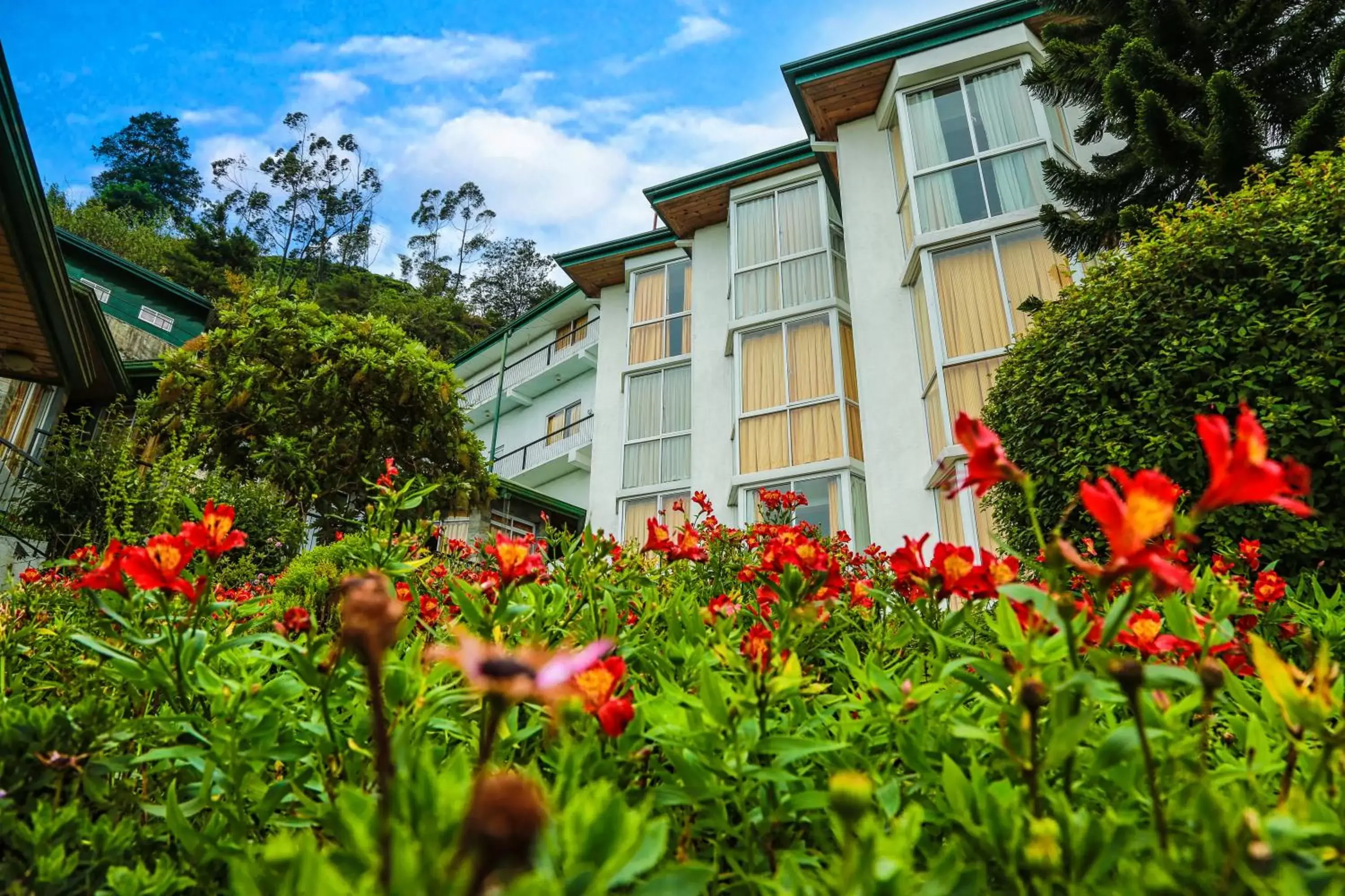 Garden, Property Building in Oak Ray Summer Hill Breeze