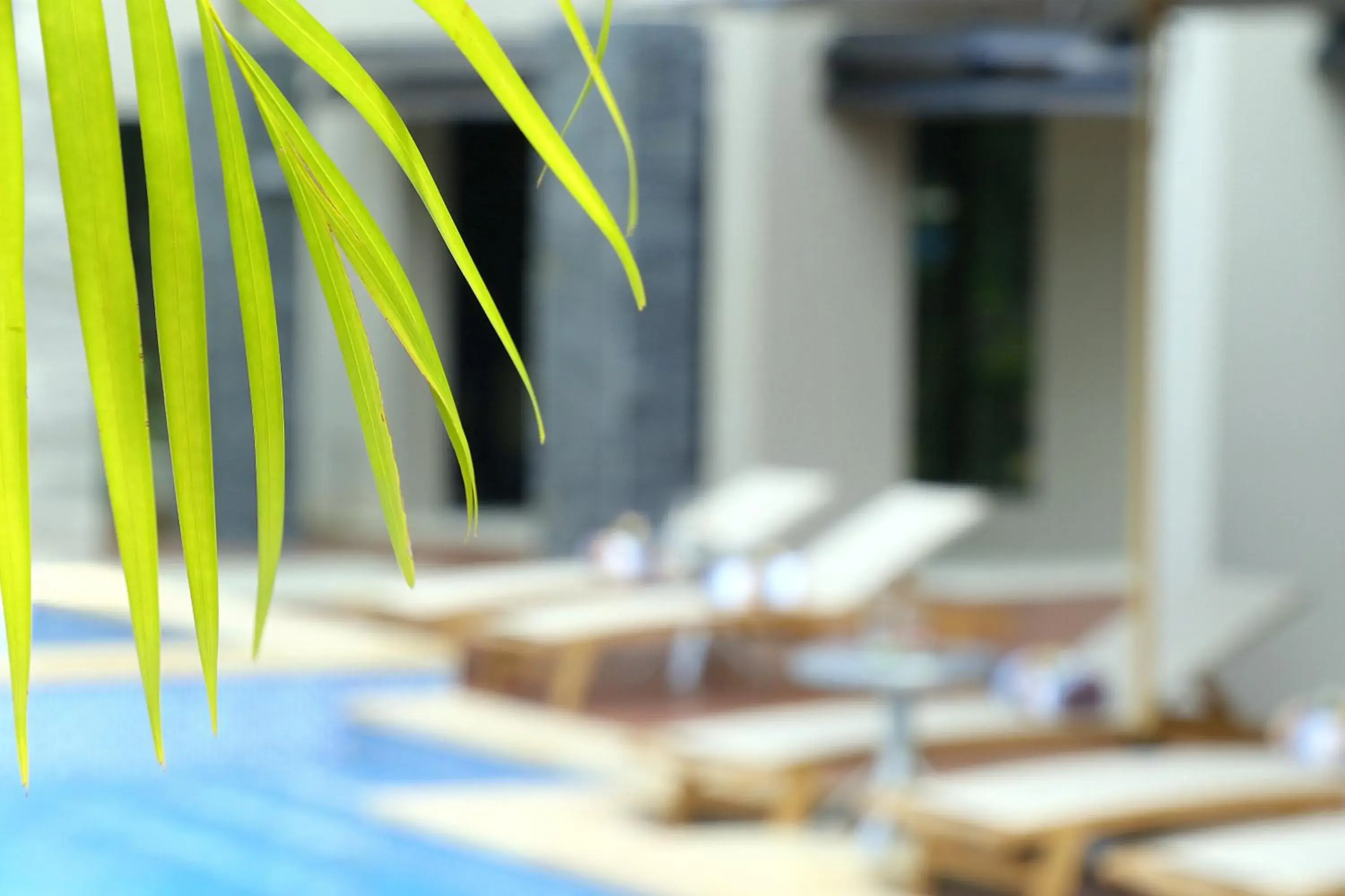 Pool view in The Palms Denarau Fiji Pool view in The Palms Denarau Fiji