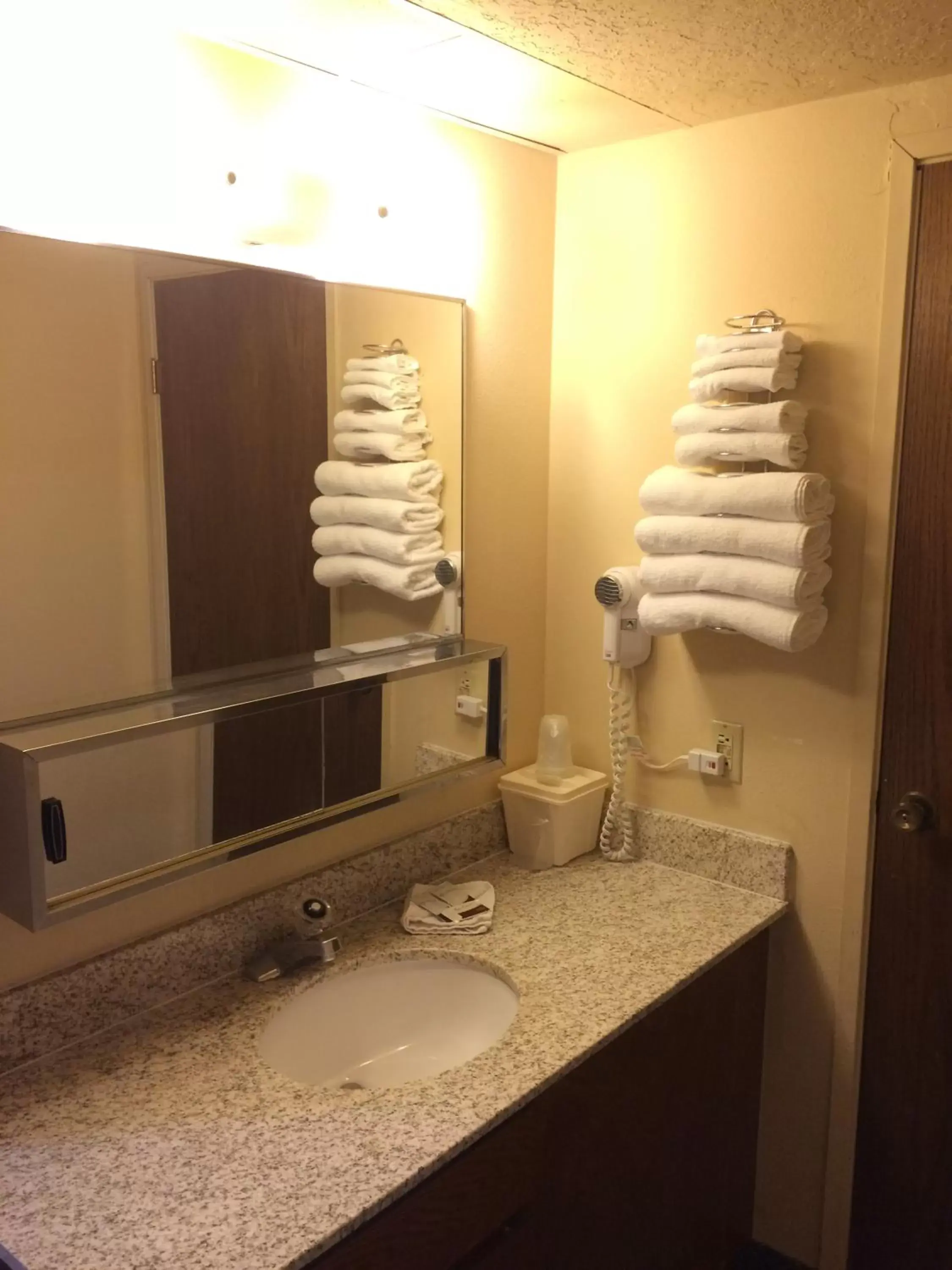 Bathroom, Coffee/Tea Facilities in Budget Motel