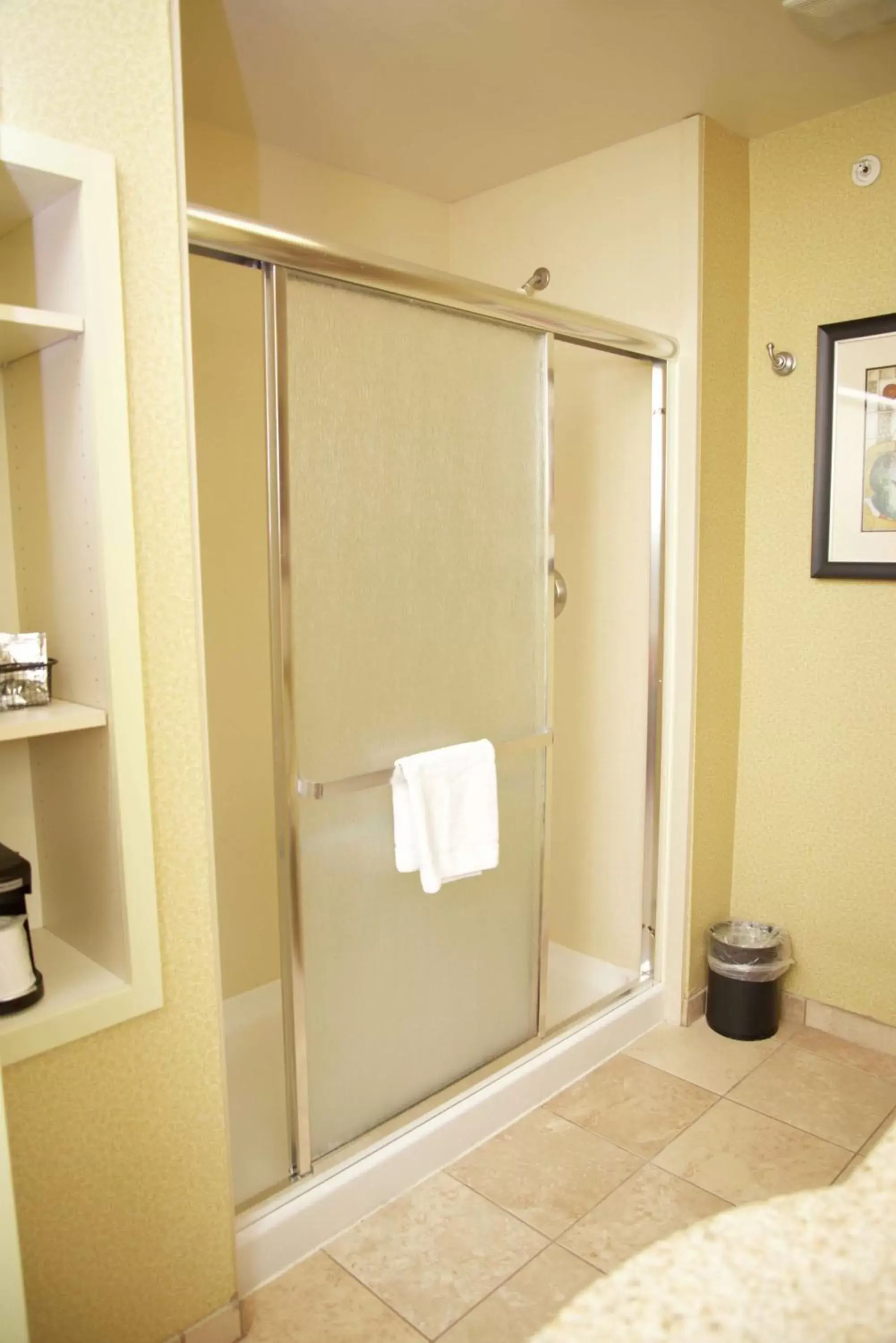 Bathroom in Hampton Inn & Suites Moline-Quad City Int'l Aprt
