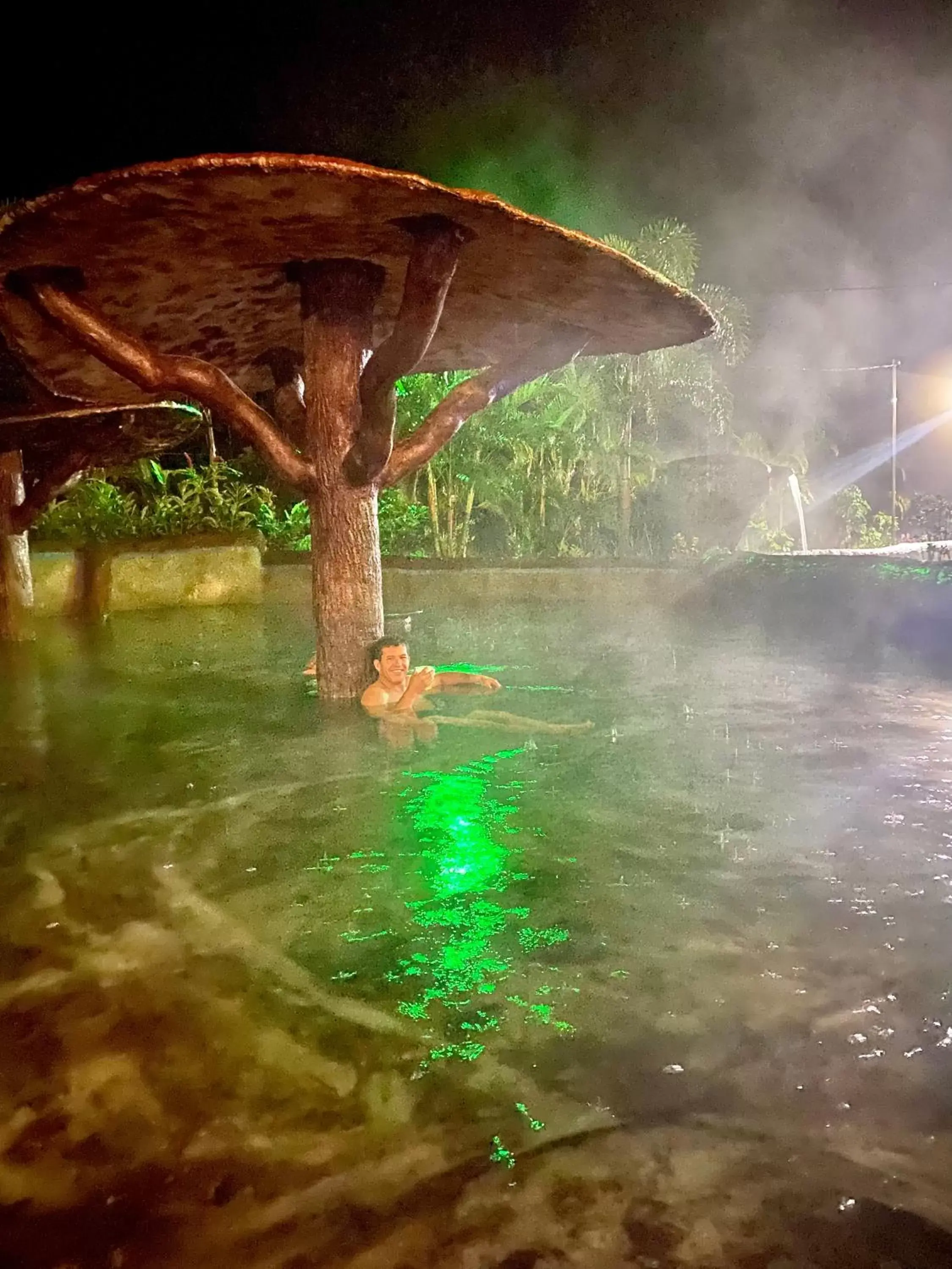 Swimming pool, Other Animals in Termales del Arenal