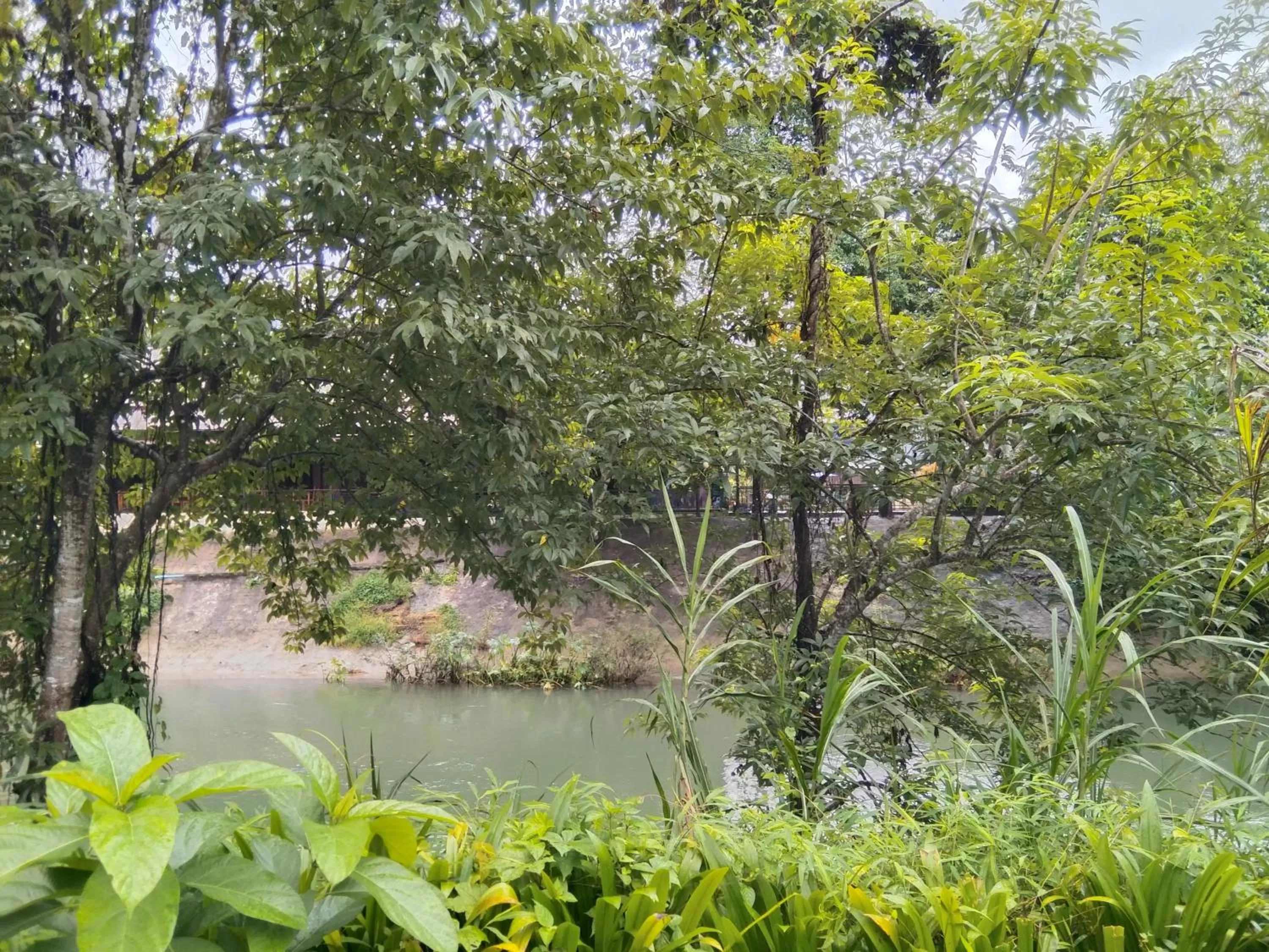 Property building in Khao Sok River & Jungle Resort