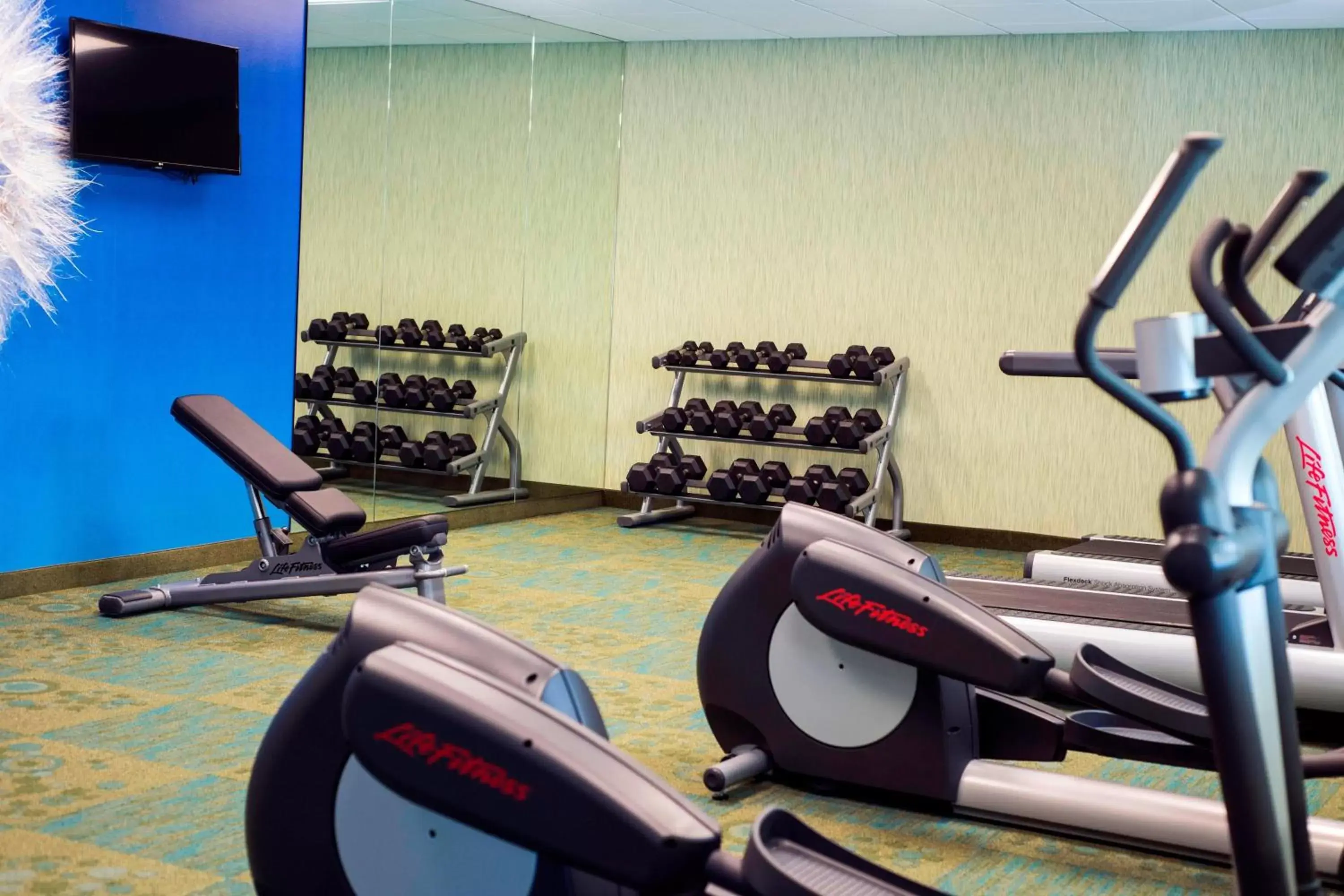 Fitness centre/facilities, Fitness Center/Facilities in SpringHill Suites by Marriott Wisconsin Dells