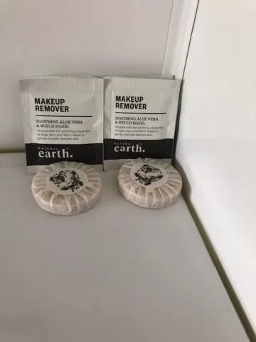 Decorative detail in Coachman Motel