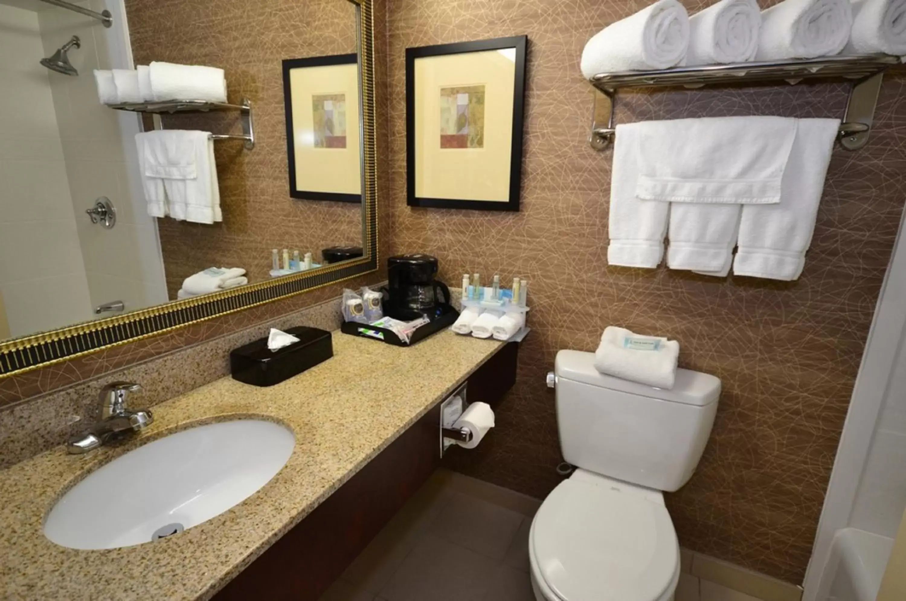 Bathroom in Holiday Inn Express Boston Brockton, an IHG Hotel