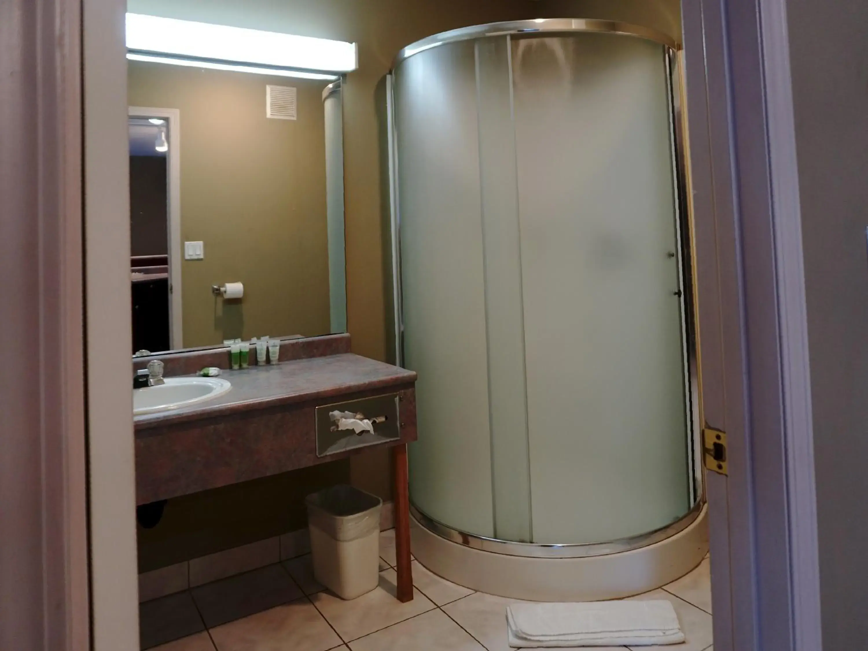 Shower, Bathroom in The Ritz Cafe and Motor Inn