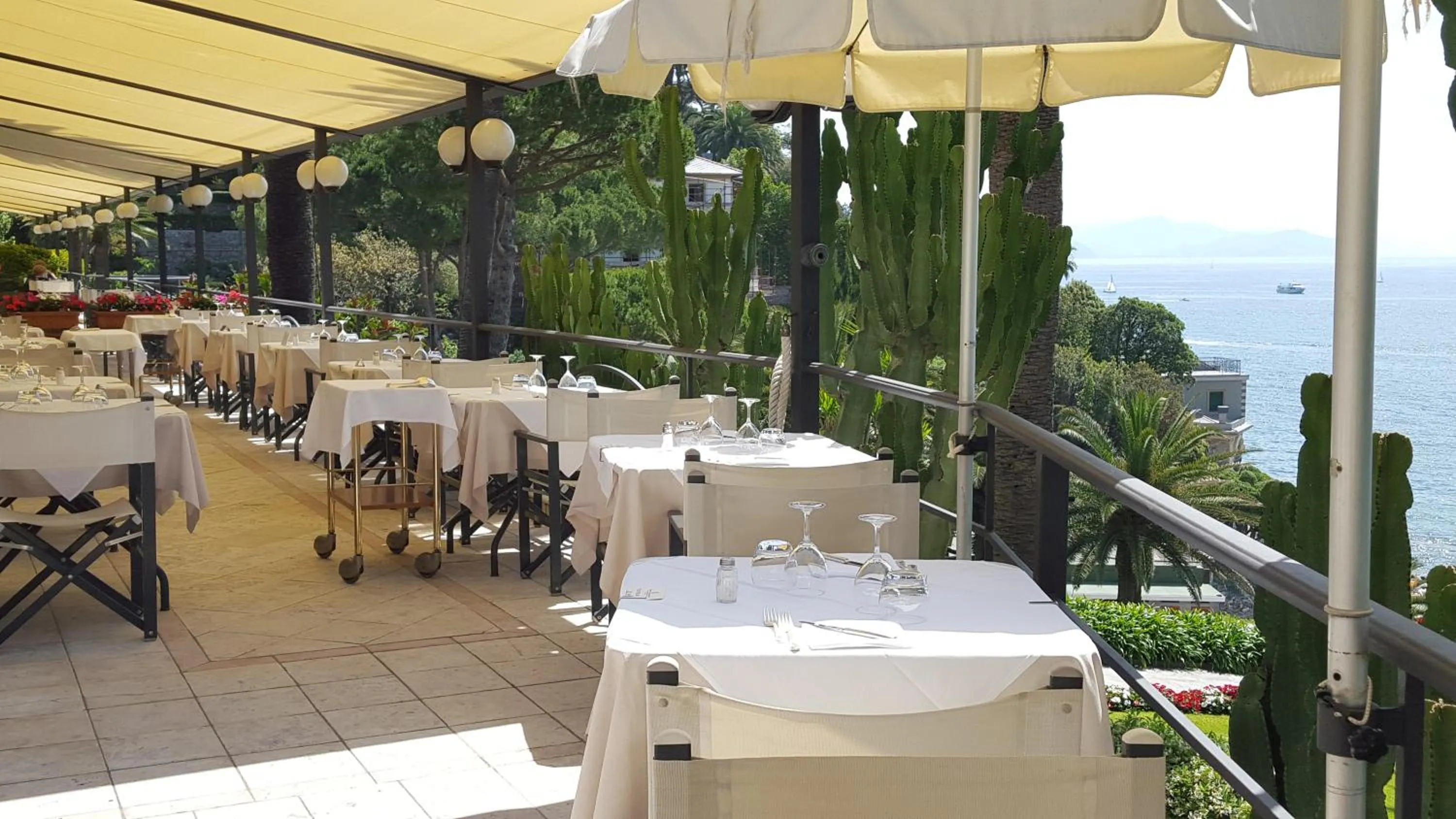 Restaurant/places to eat in Hotel Continental