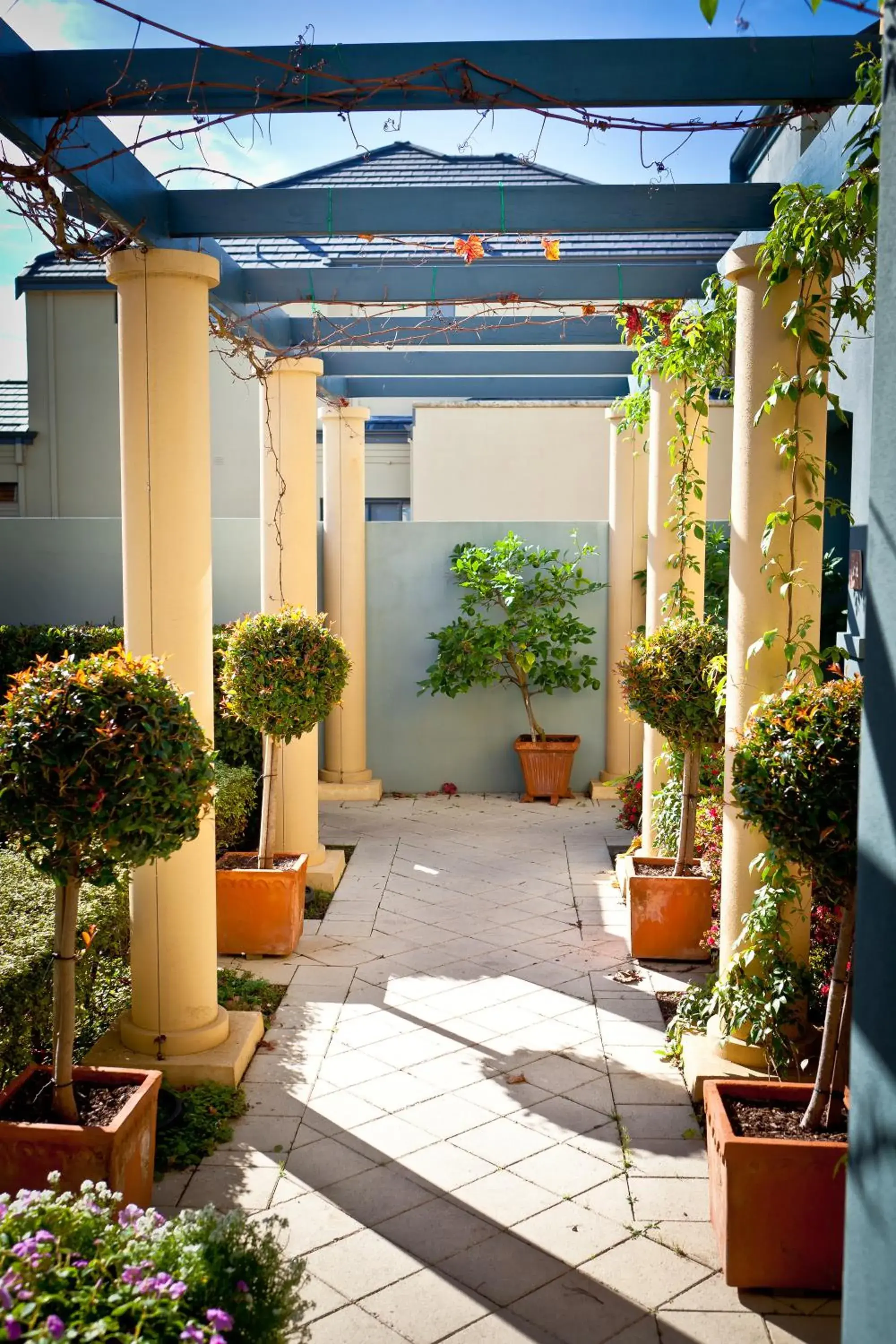 Garden in The Beach House At Bayside