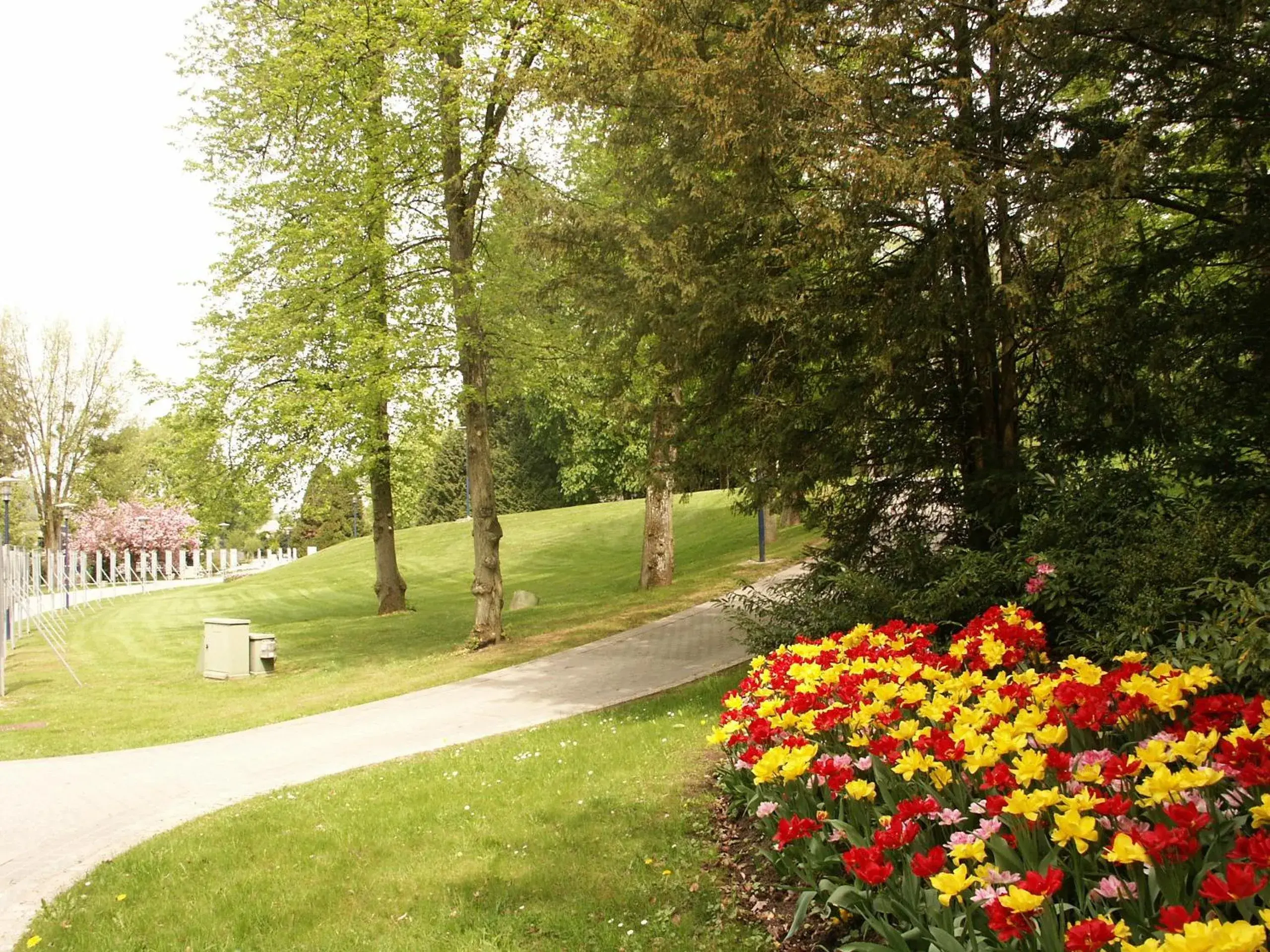 Area and facilities in Mondorf Parc Hotel & Spa