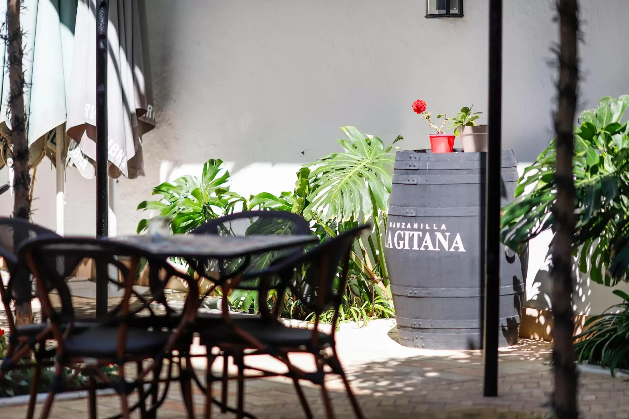 Patio in Albariza Hotel Boutique