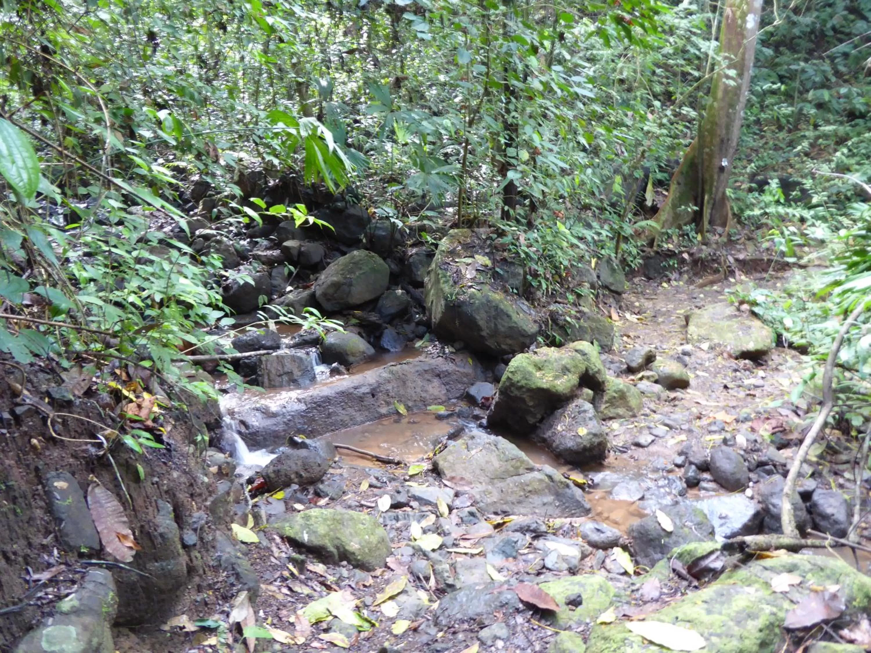 Hiking, Natural Landscape in La Purruja Lodge