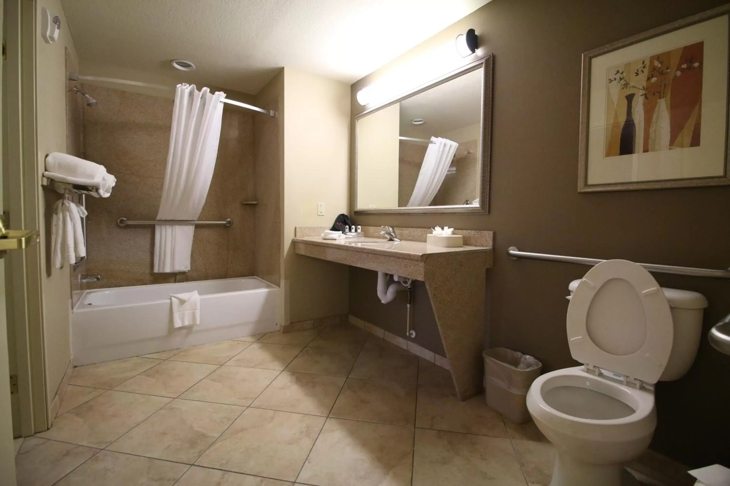 Bathroom in Seffner Inn and Suites