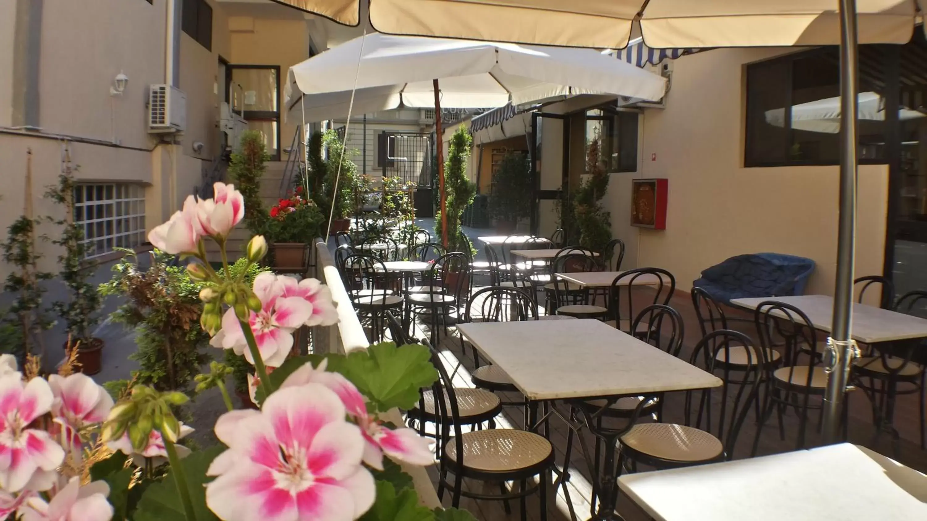 Patio, Restaurant/Places to Eat in Youth Firenze 2000