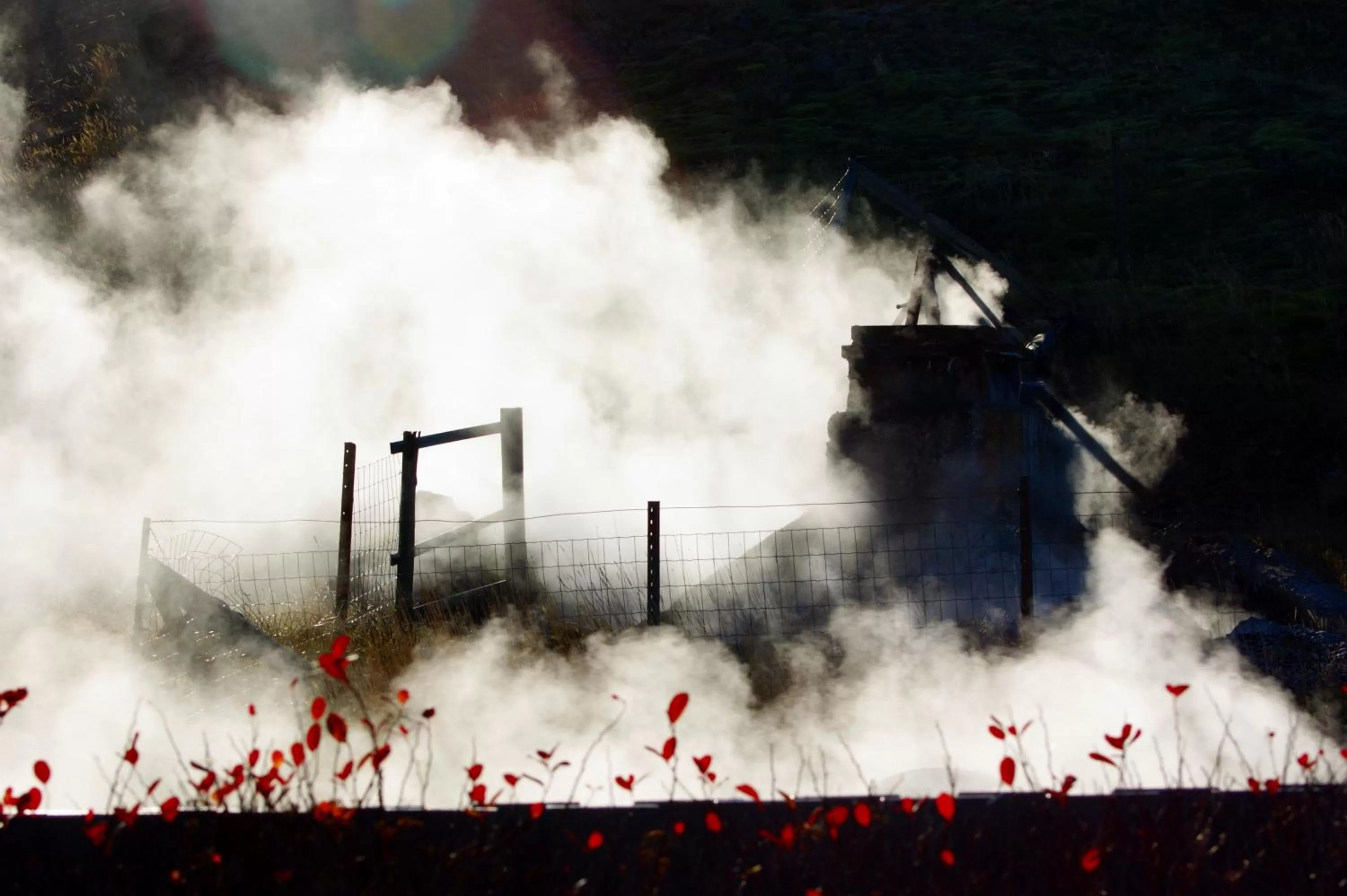 Area and facilities in Frost and Fire Hotel