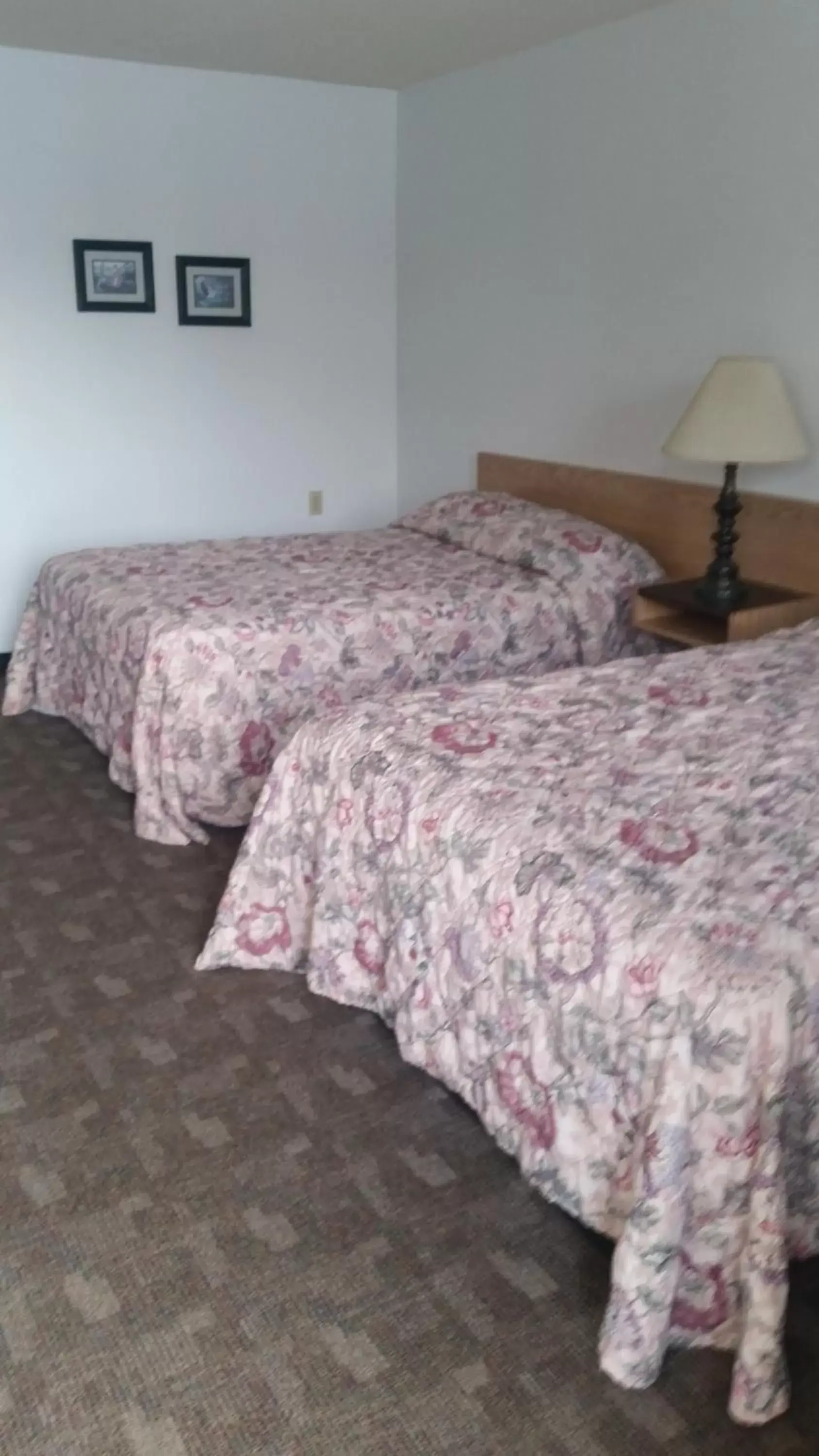 Photo of the whole room, Bed in Rimbey Motor Inn