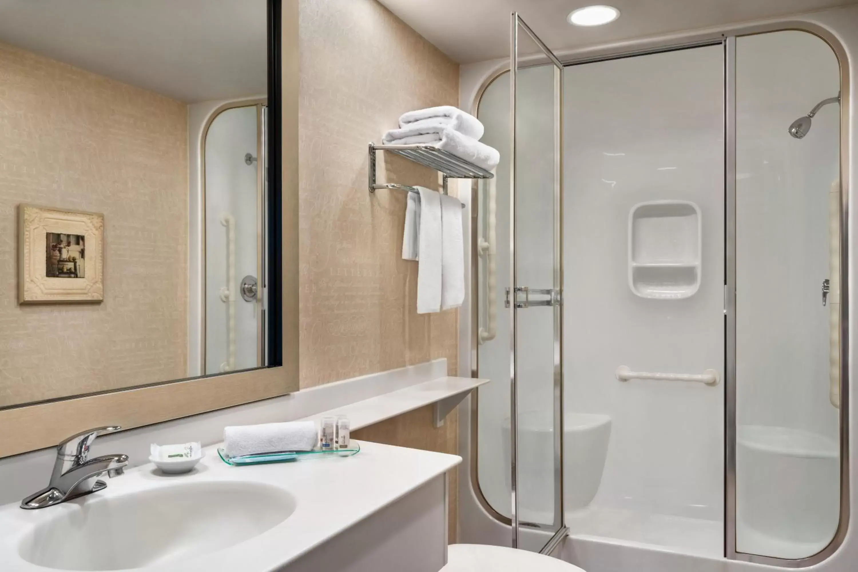 Shower, Bathroom in Royal Hotel West Edmonton, Trademark Collection by Wyndham