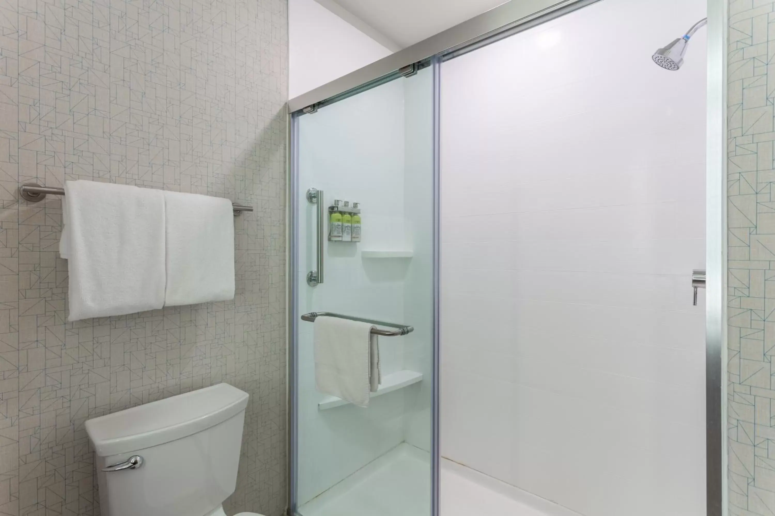 Shower, Bathroom in Holiday Inn Express Rockford-Loves Park, an IHG Hotel