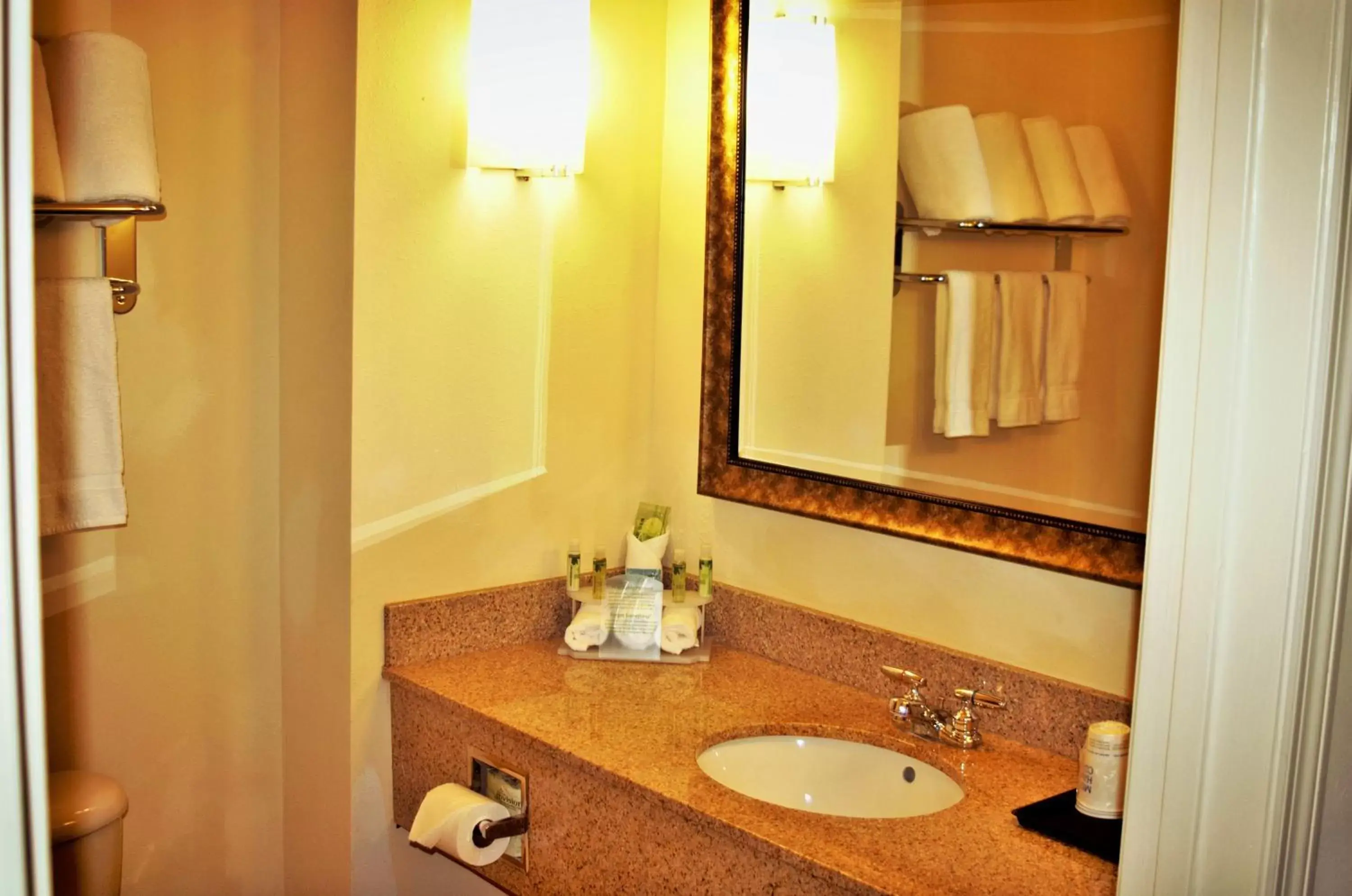 Bathroom in Holiday Inn Express DeFuniak Springs, an IHG Hotel