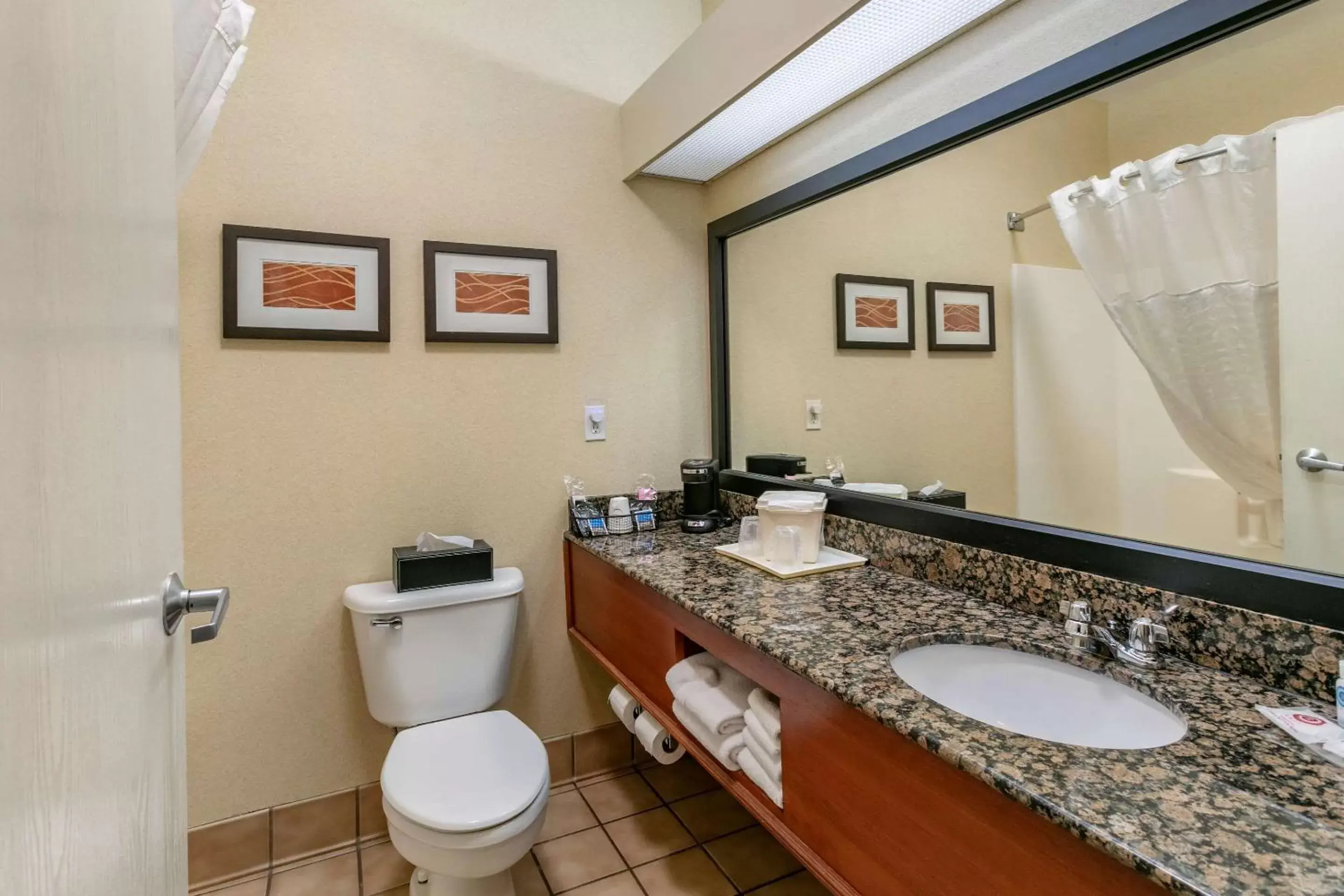 Bathroom in Comfort Inn Fort Collins North