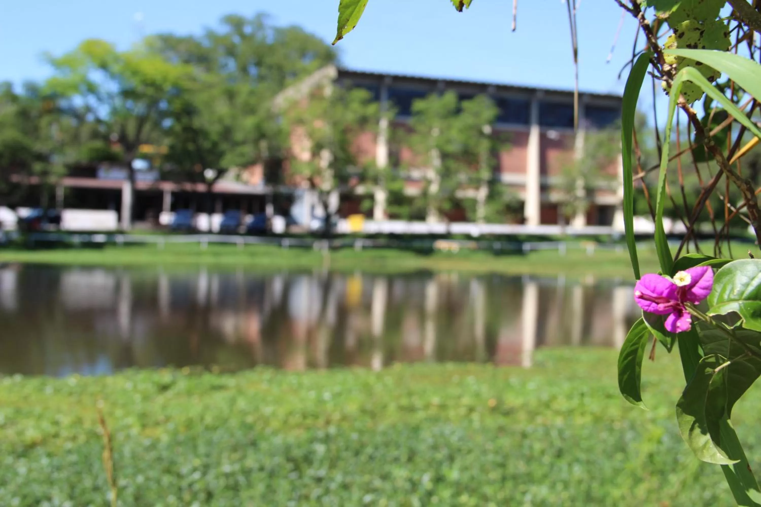 Natural landscape in ibis Montenegro