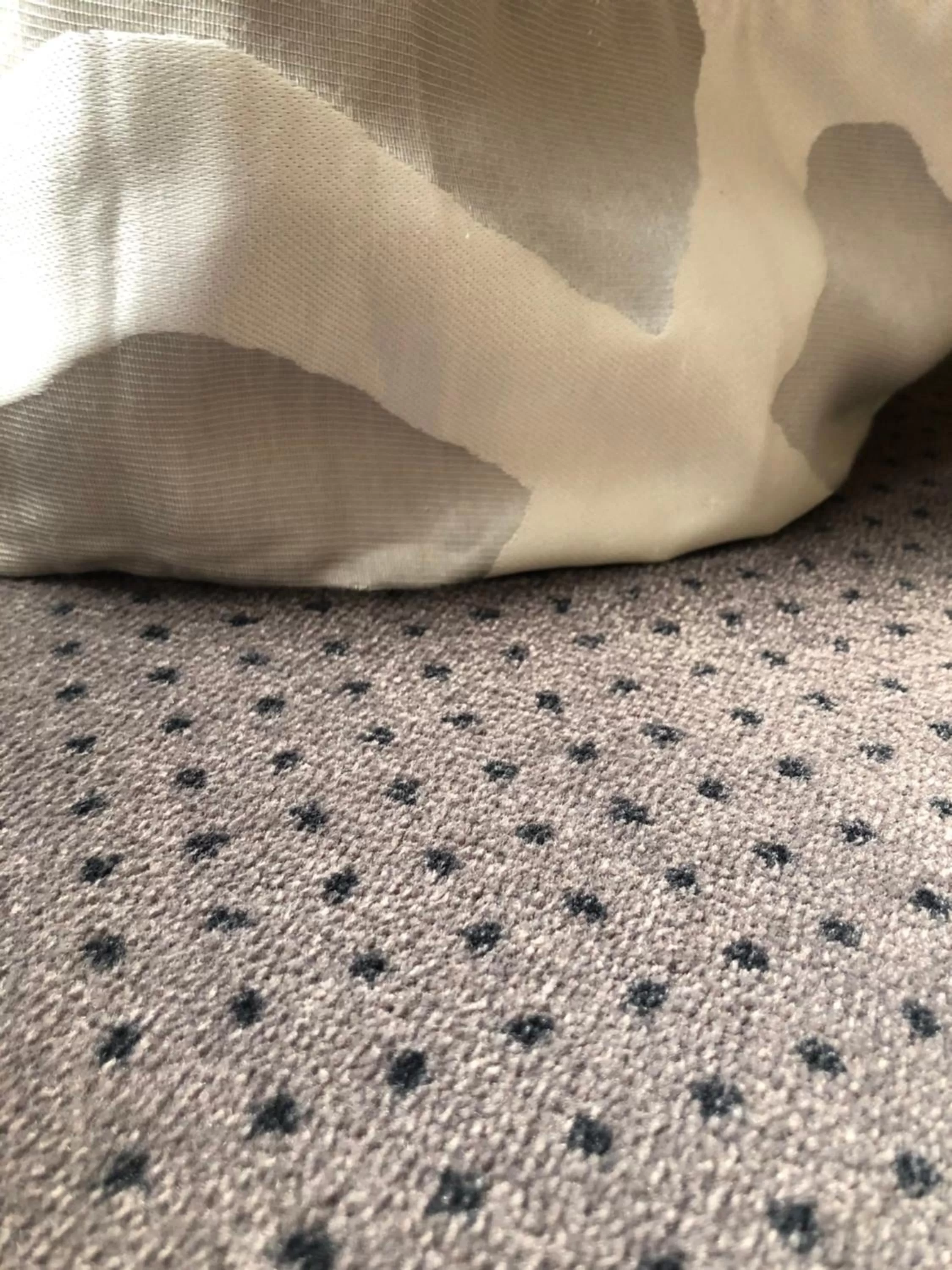 Decorative detail in Hotel Corona -Rodier-