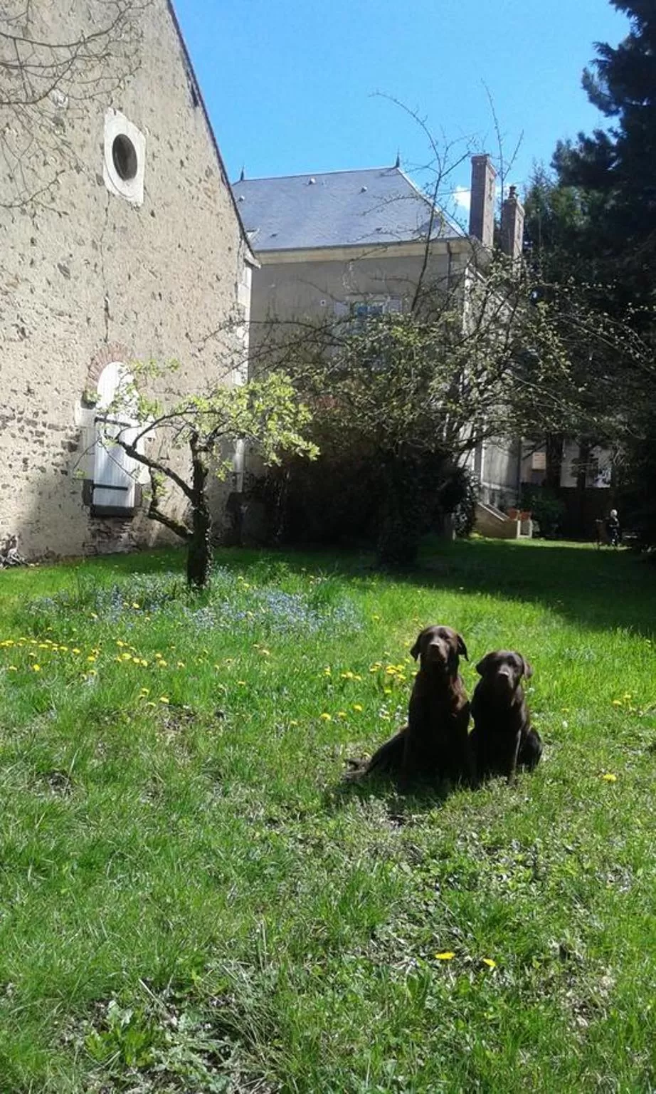 Garden, Property Building in La Sauldre