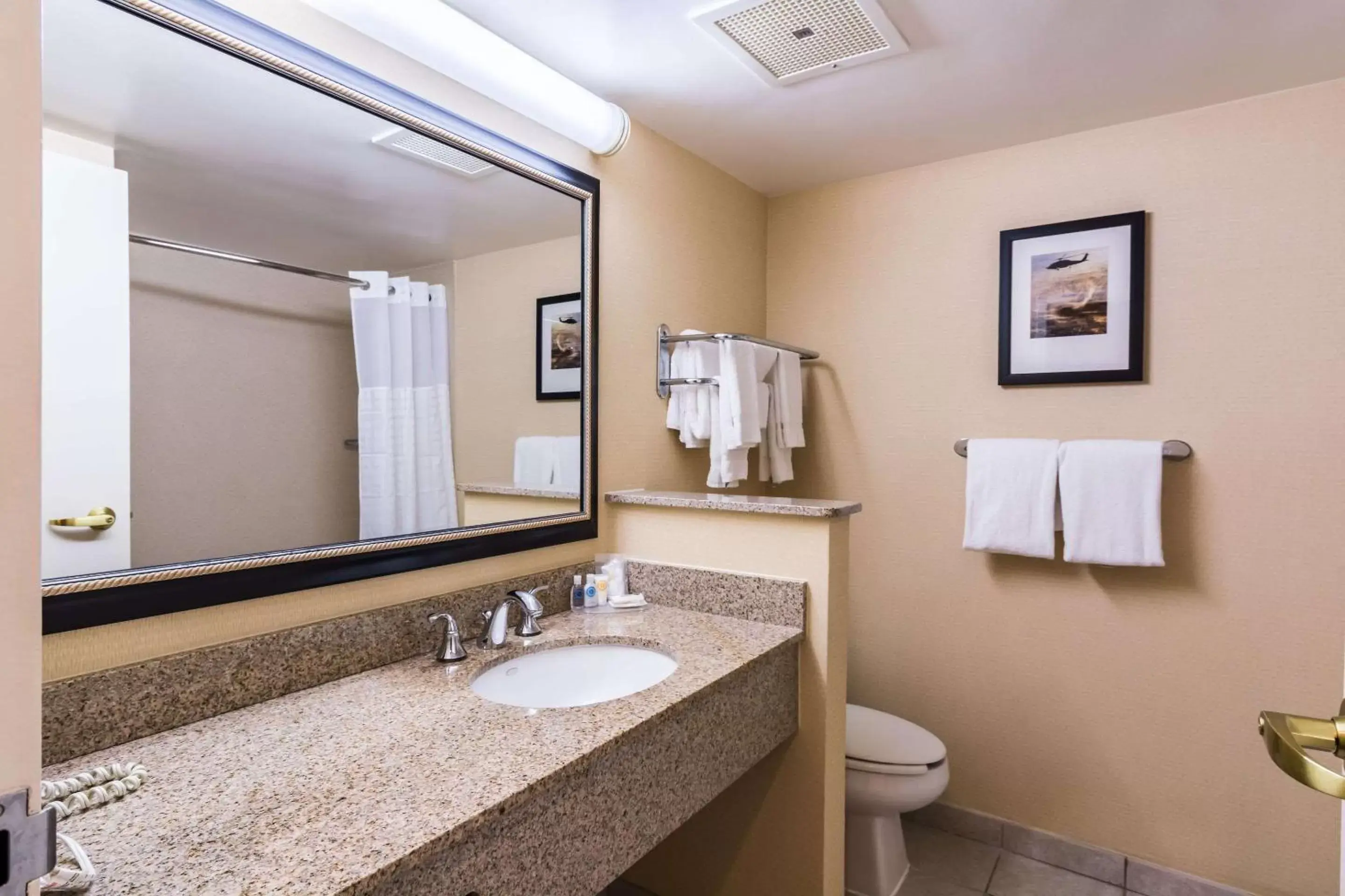 Toilet, Bathroom in Comfort Inn Washington DC Joint Andrews AFB