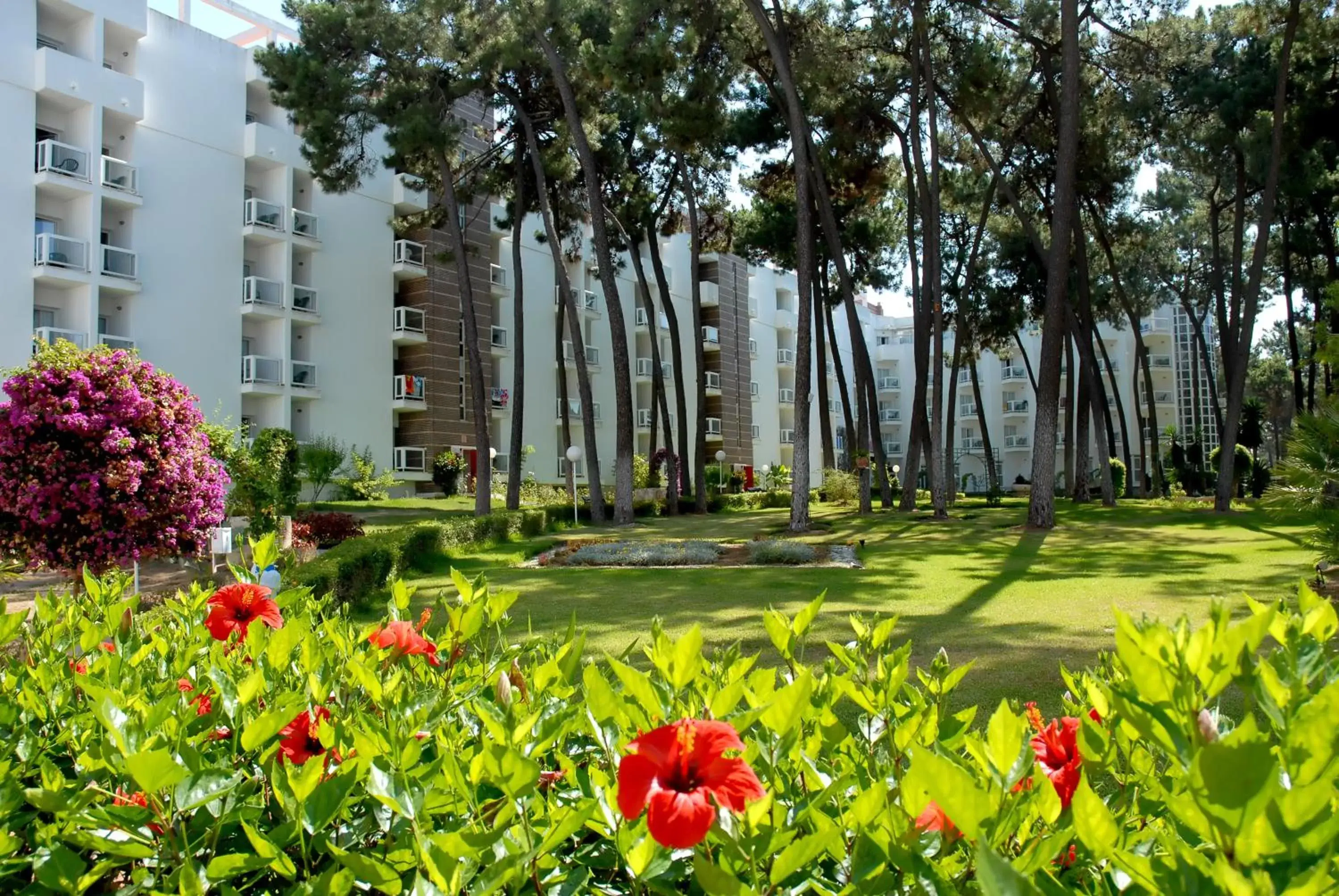 Facade/entrance, Garden in AluaSun Marbella Park