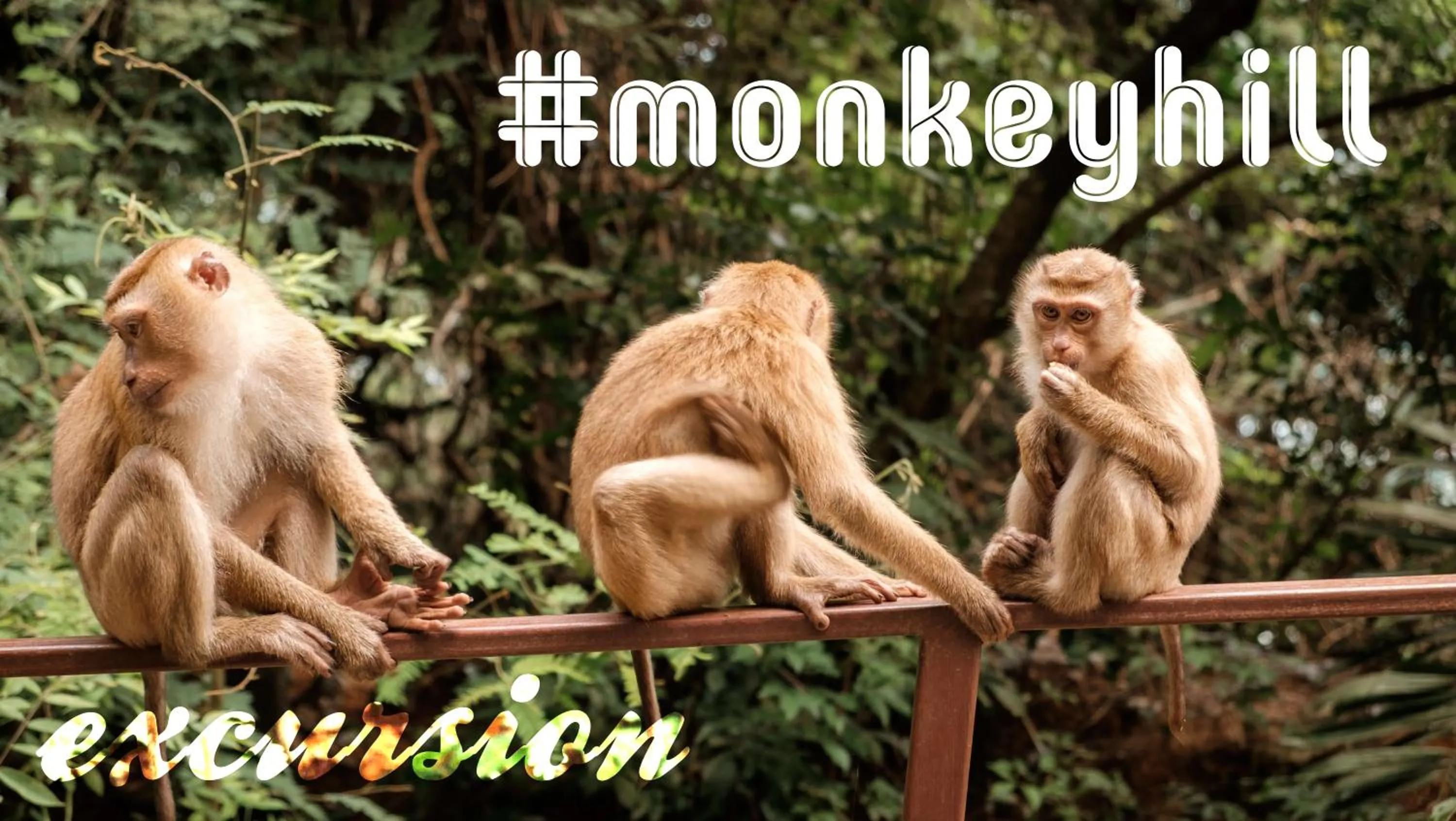 Nearby landmark in Phoenix Hotel Karon Beach