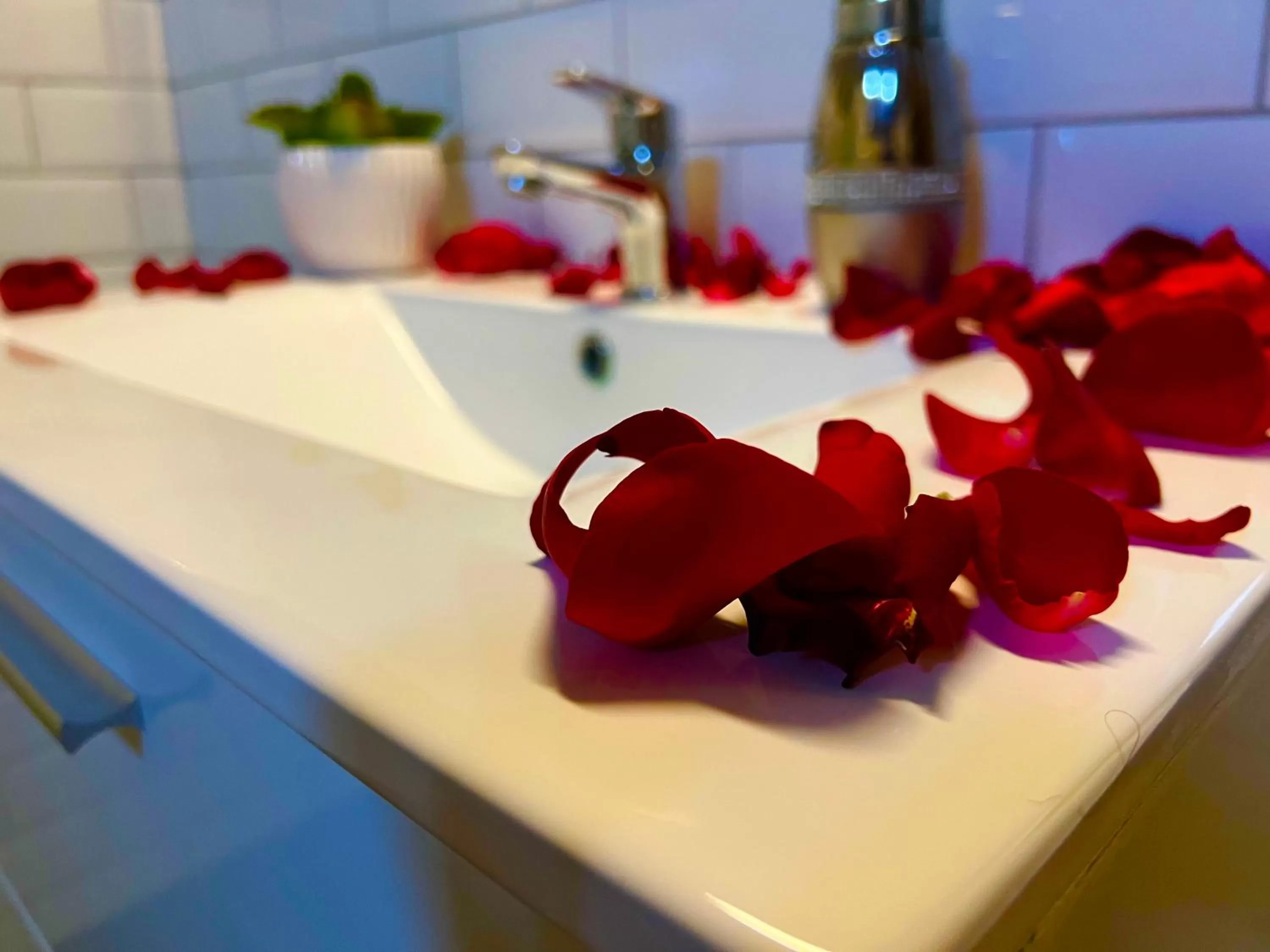 Zöld Sziget Üdülőház