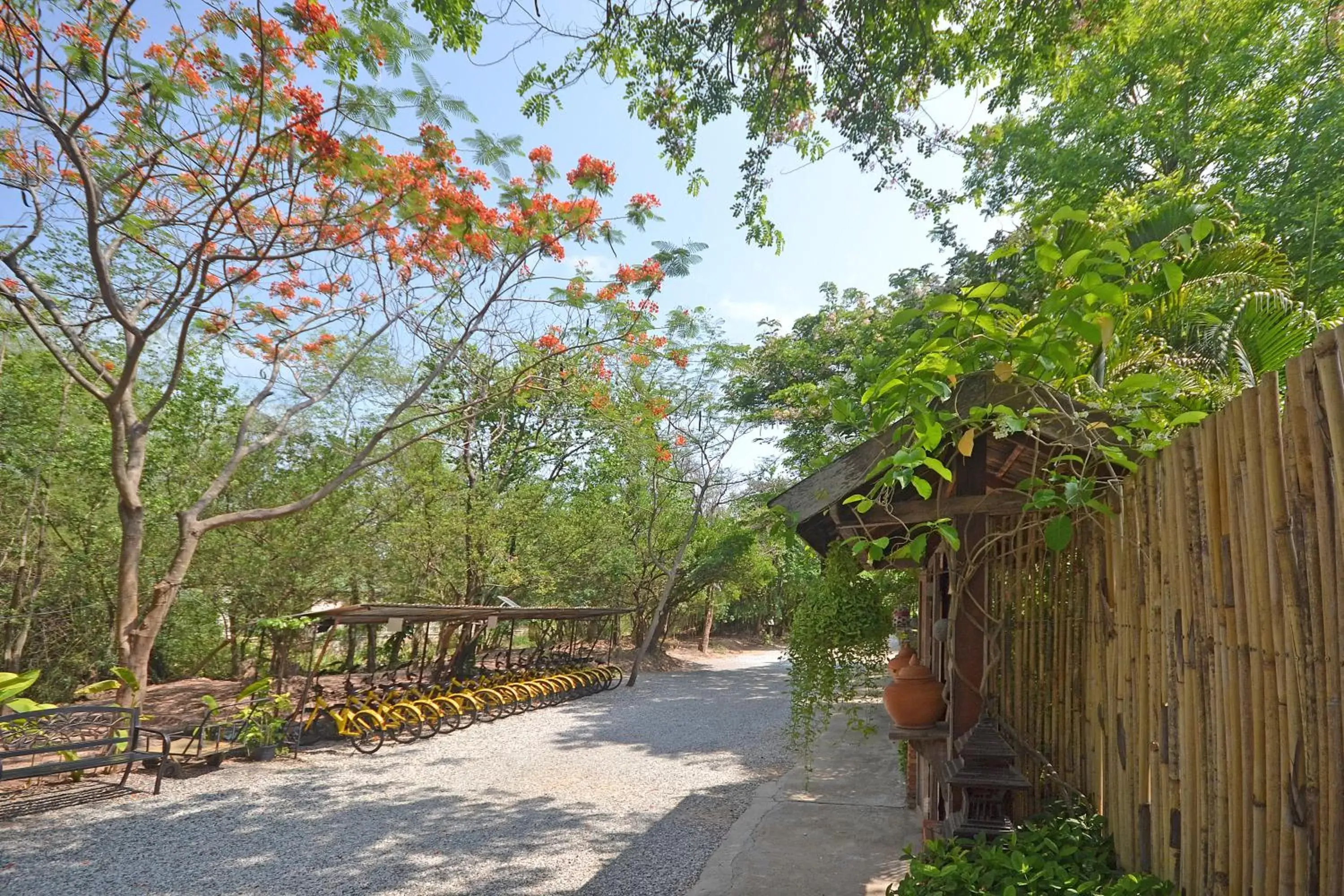 Garden in Thai Thai Sukhothai Resort