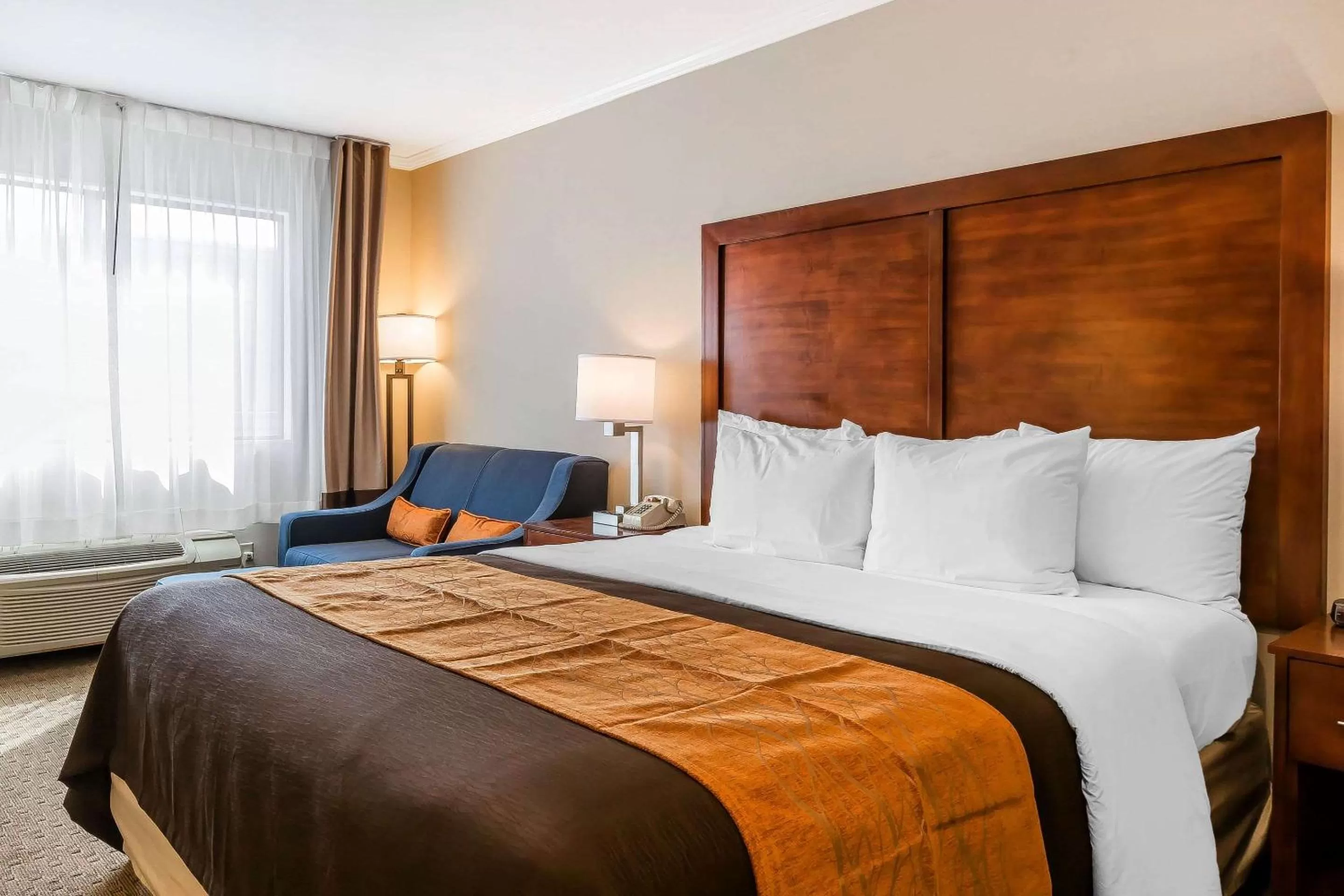 Standard Room, 1 King Bed with Sofa Bed, Non Smoking in Comfort Inn Santa Monica - West Los Angeles