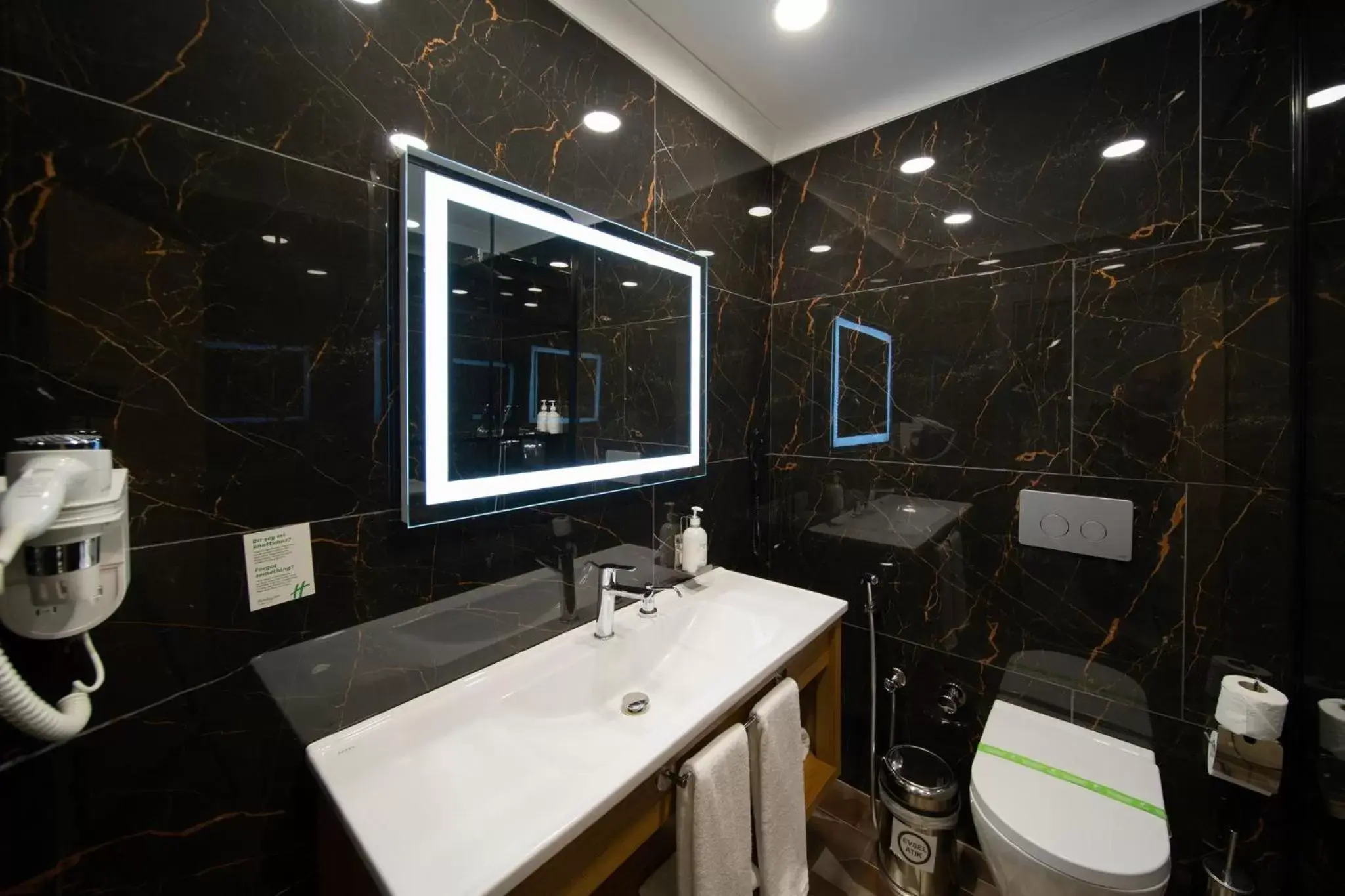 Bathroom in Holiday Inn - Trabzon-East, an IHG Hotel