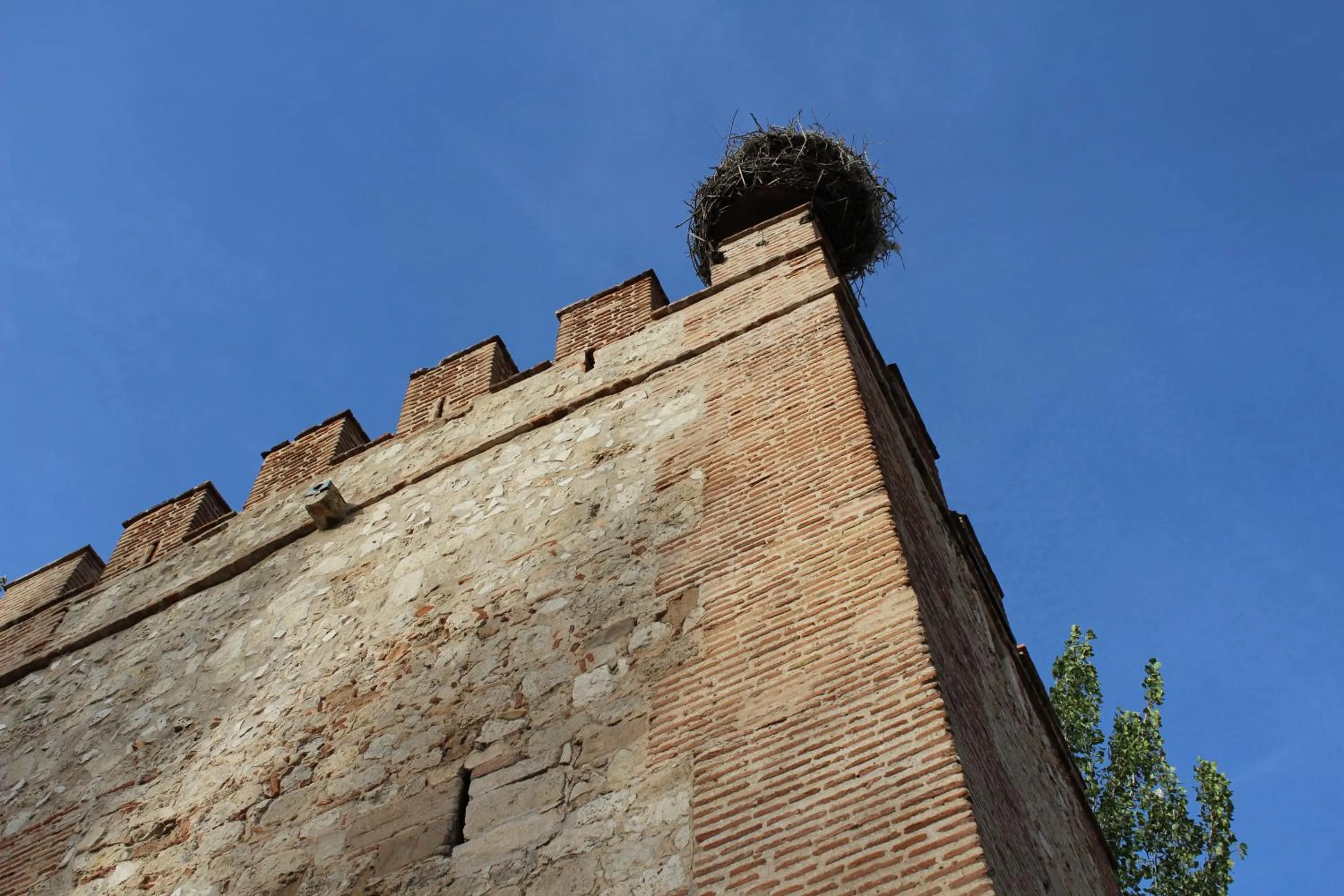 Nearby landmark in Hotel Cuatro Caños