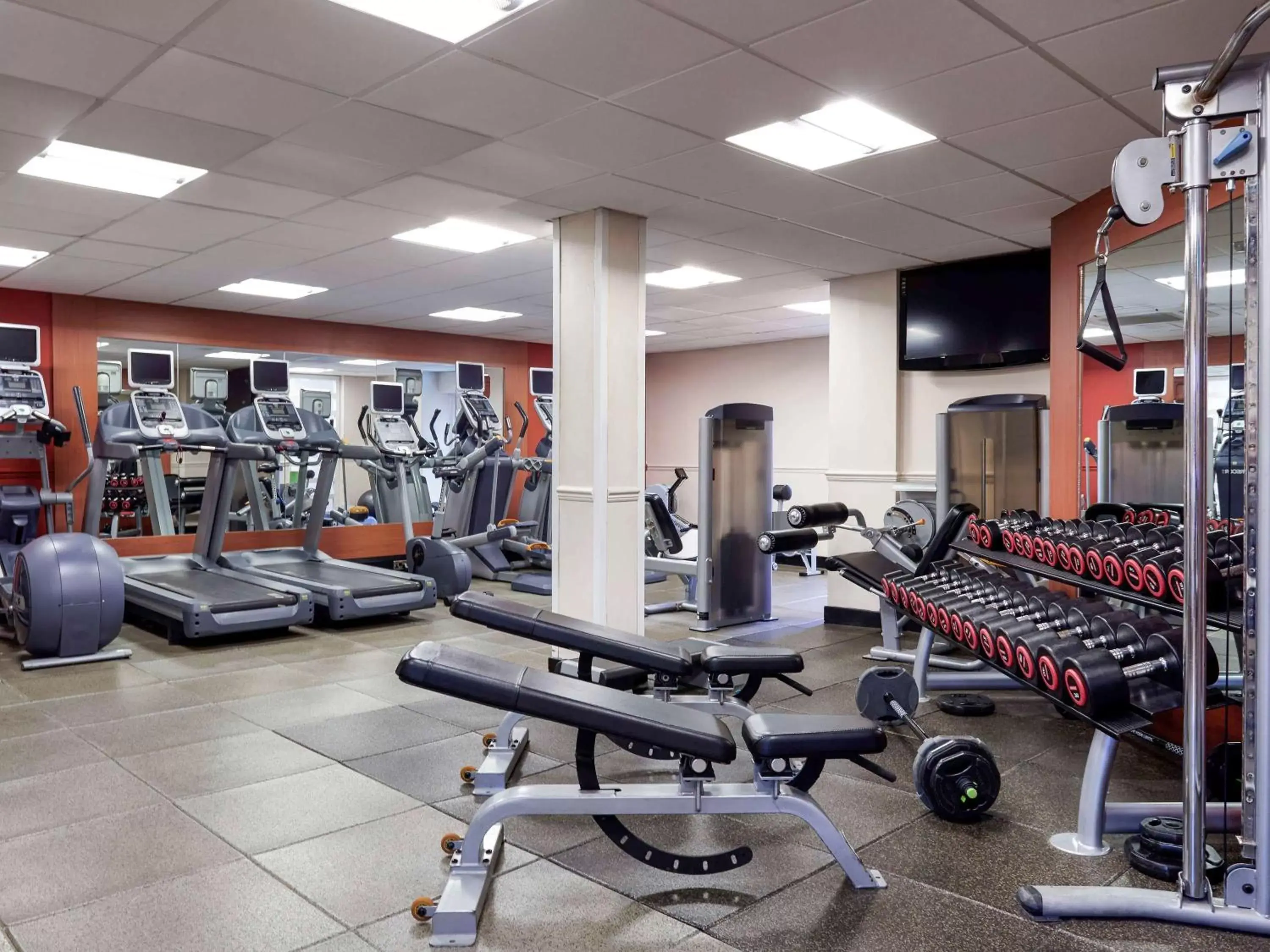Spa and wellness centre/facilities, Fitness Center/Facilities in Novotel London Stansted Airport