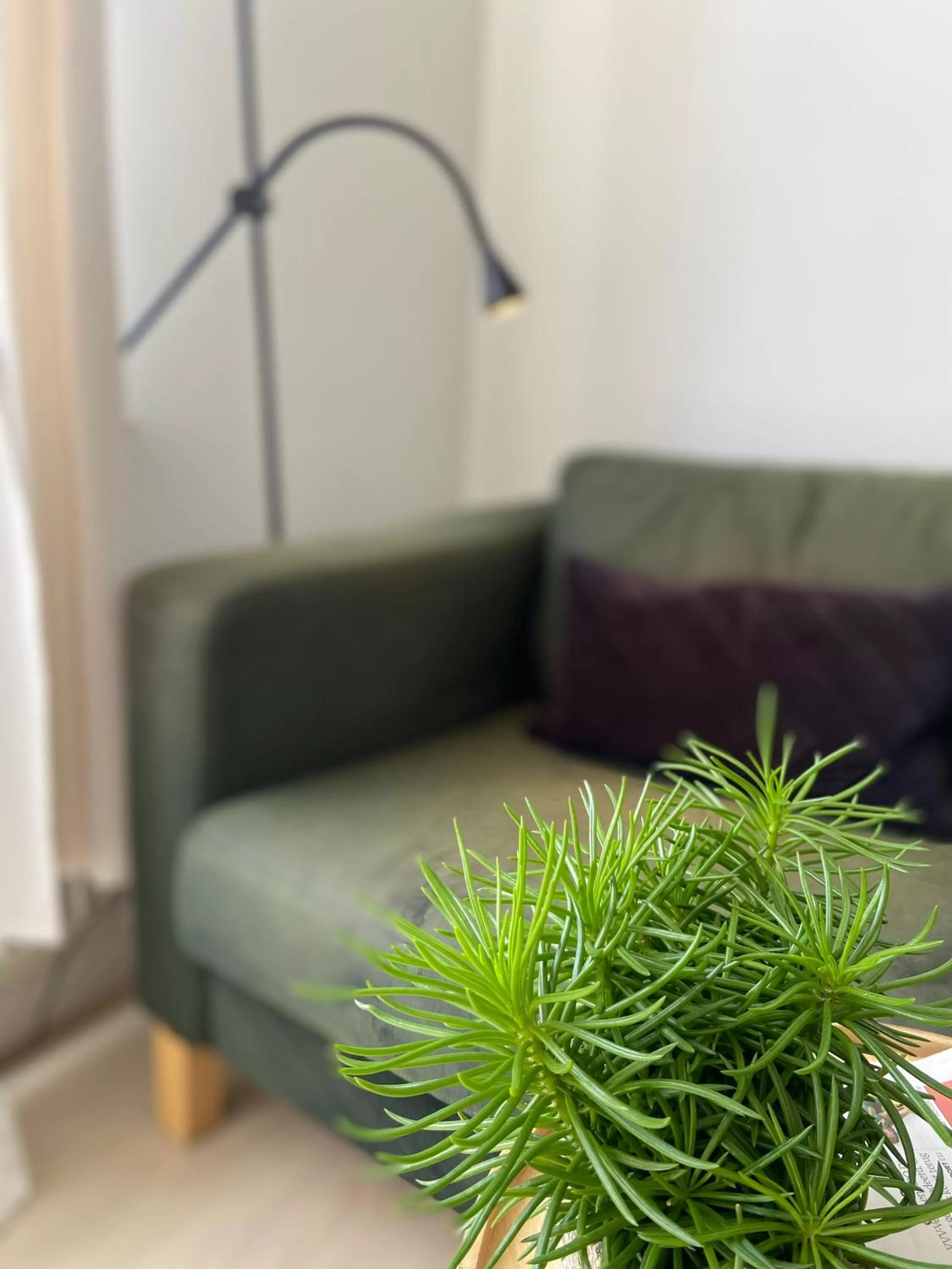 Communal kitchen, Seating Area in B&B Het Atelier